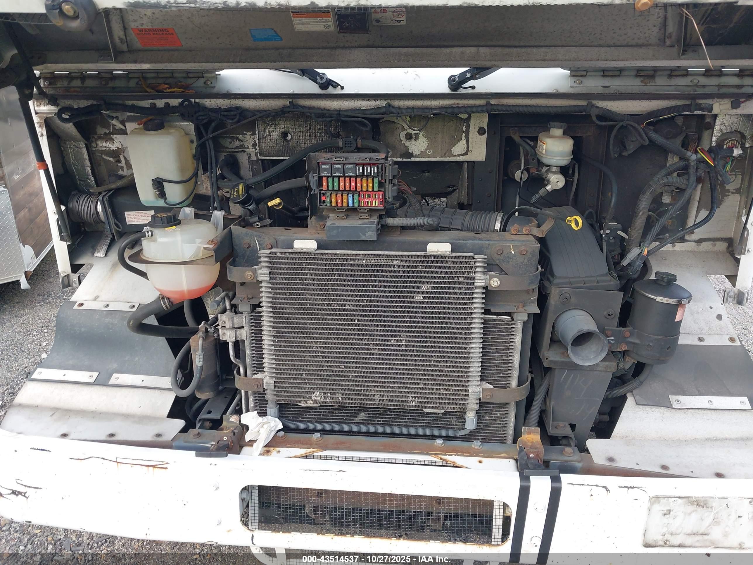 FORD F-59 image 10