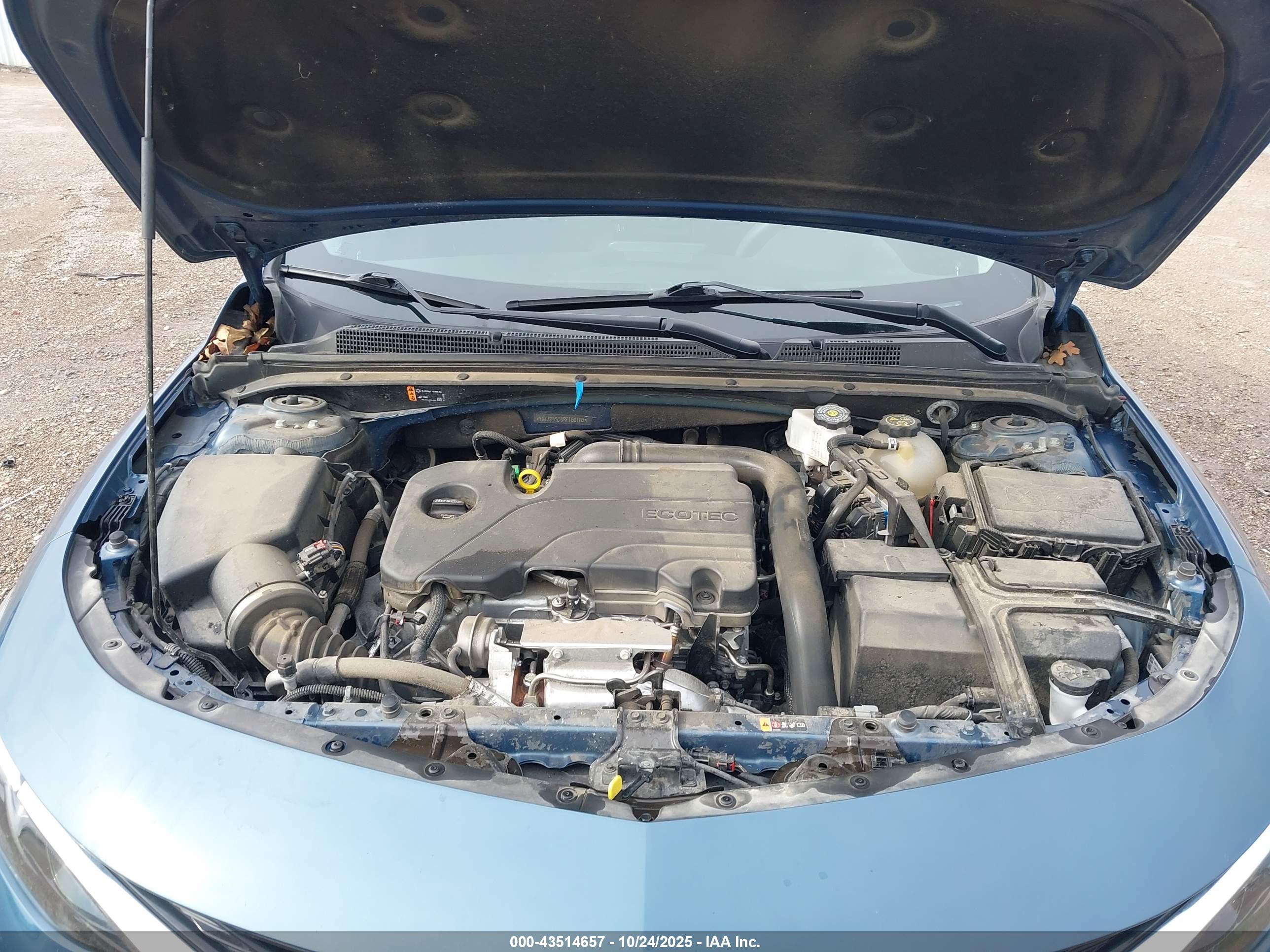 CHEVROLET MALIBU image 10
