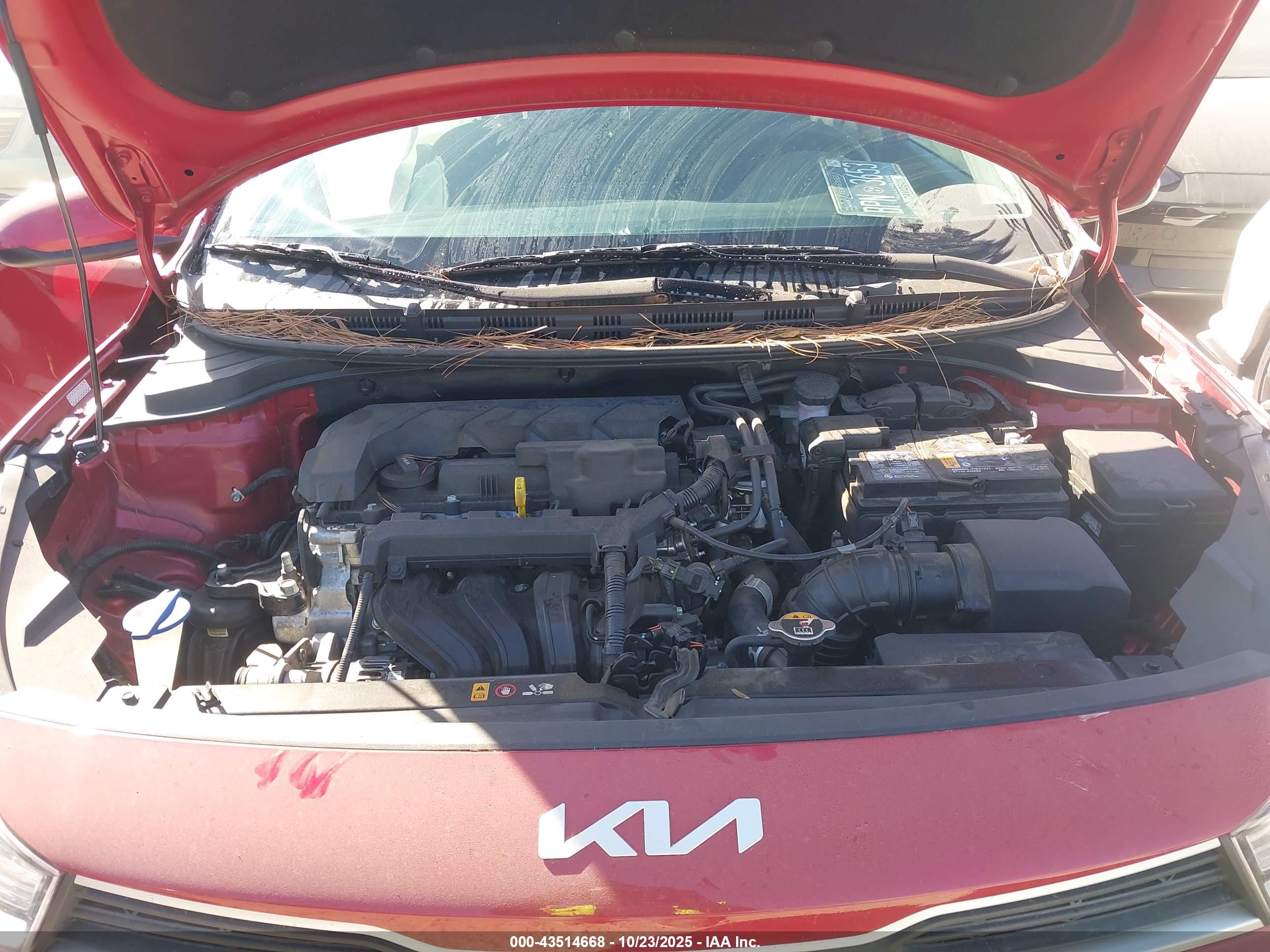 KIA RIO image 10