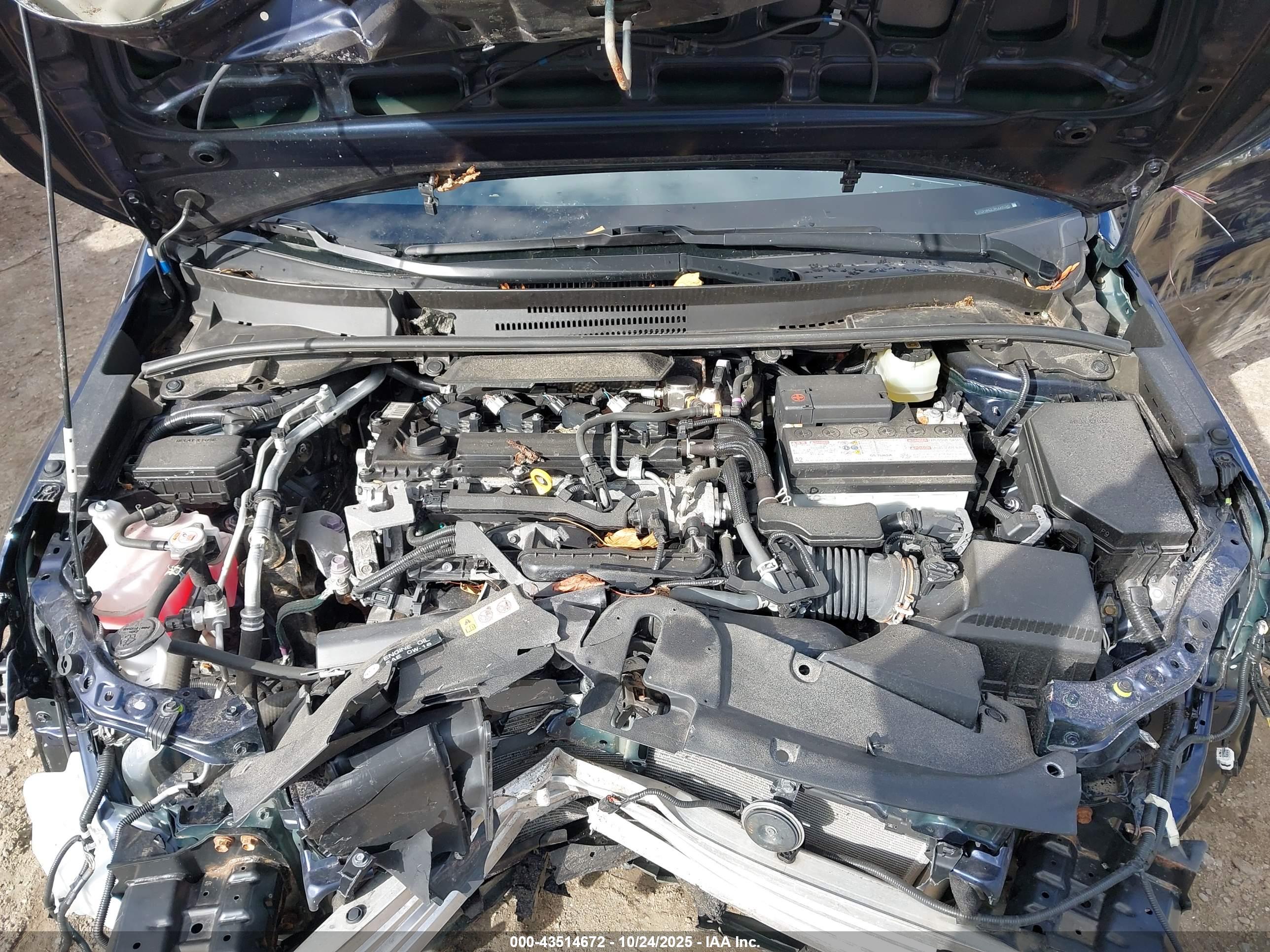 TOYOTA COROLLA image 10