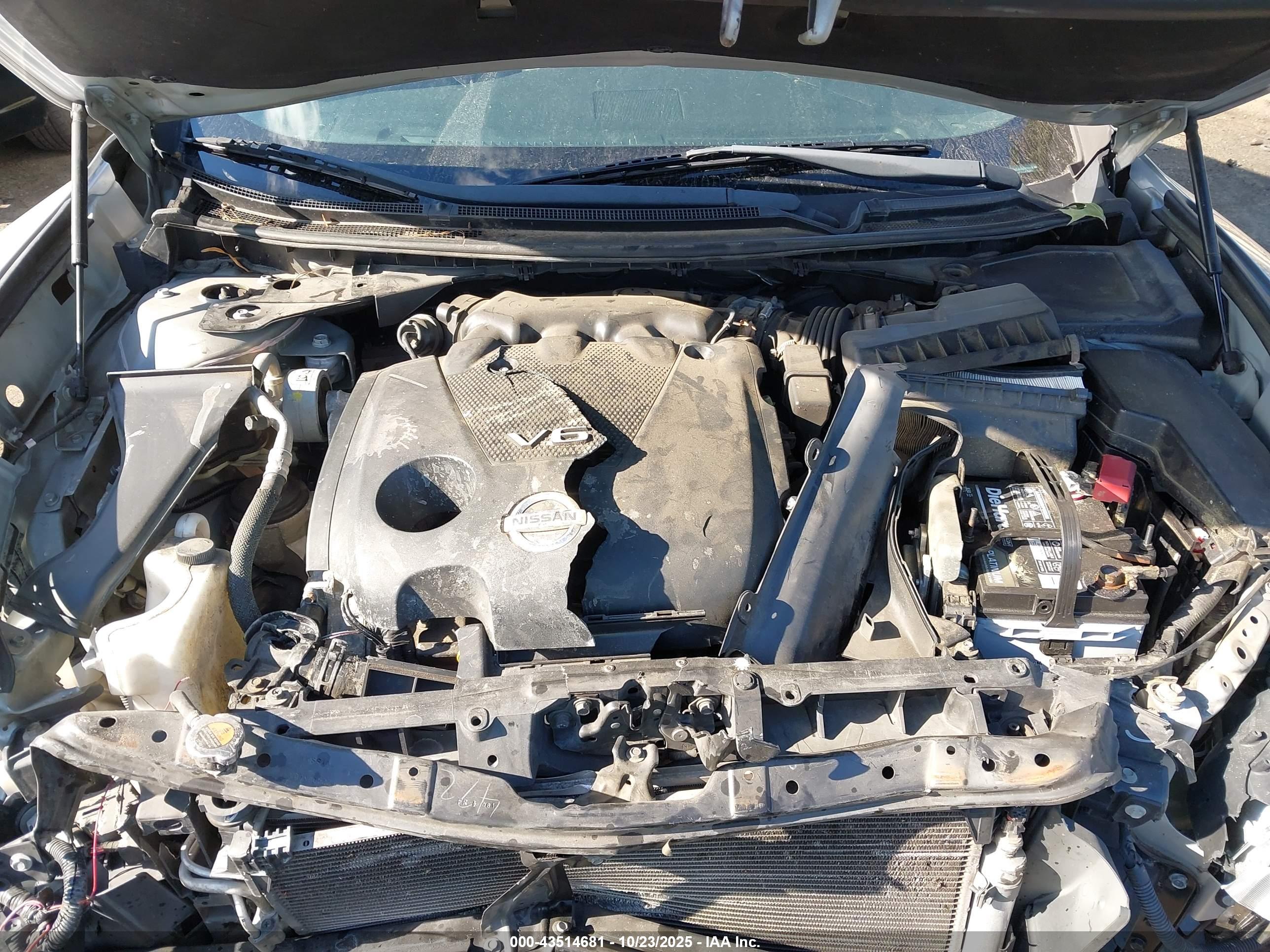 NISSAN MAXIMA image 10