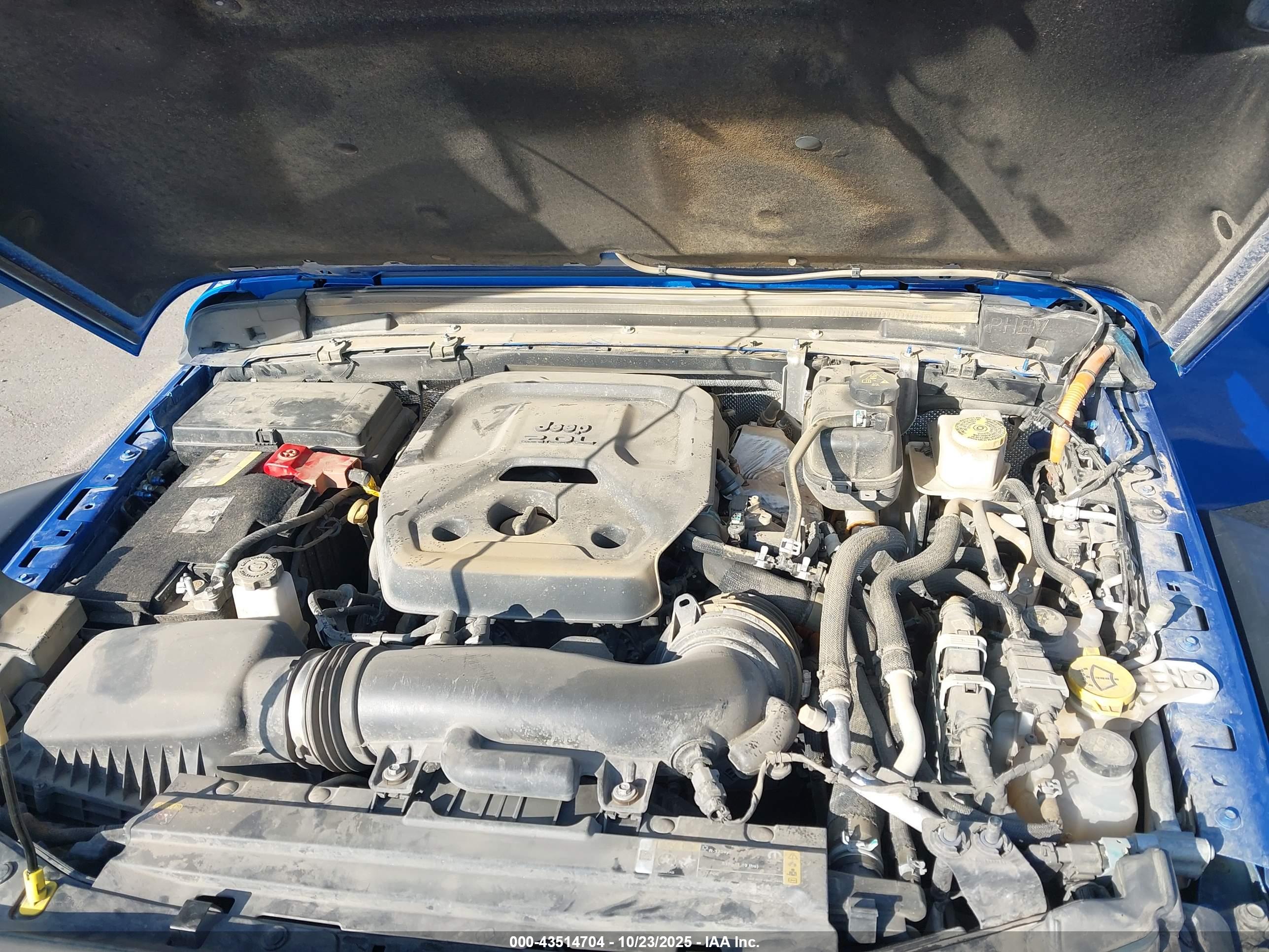 JEEP WRANGLER image 10