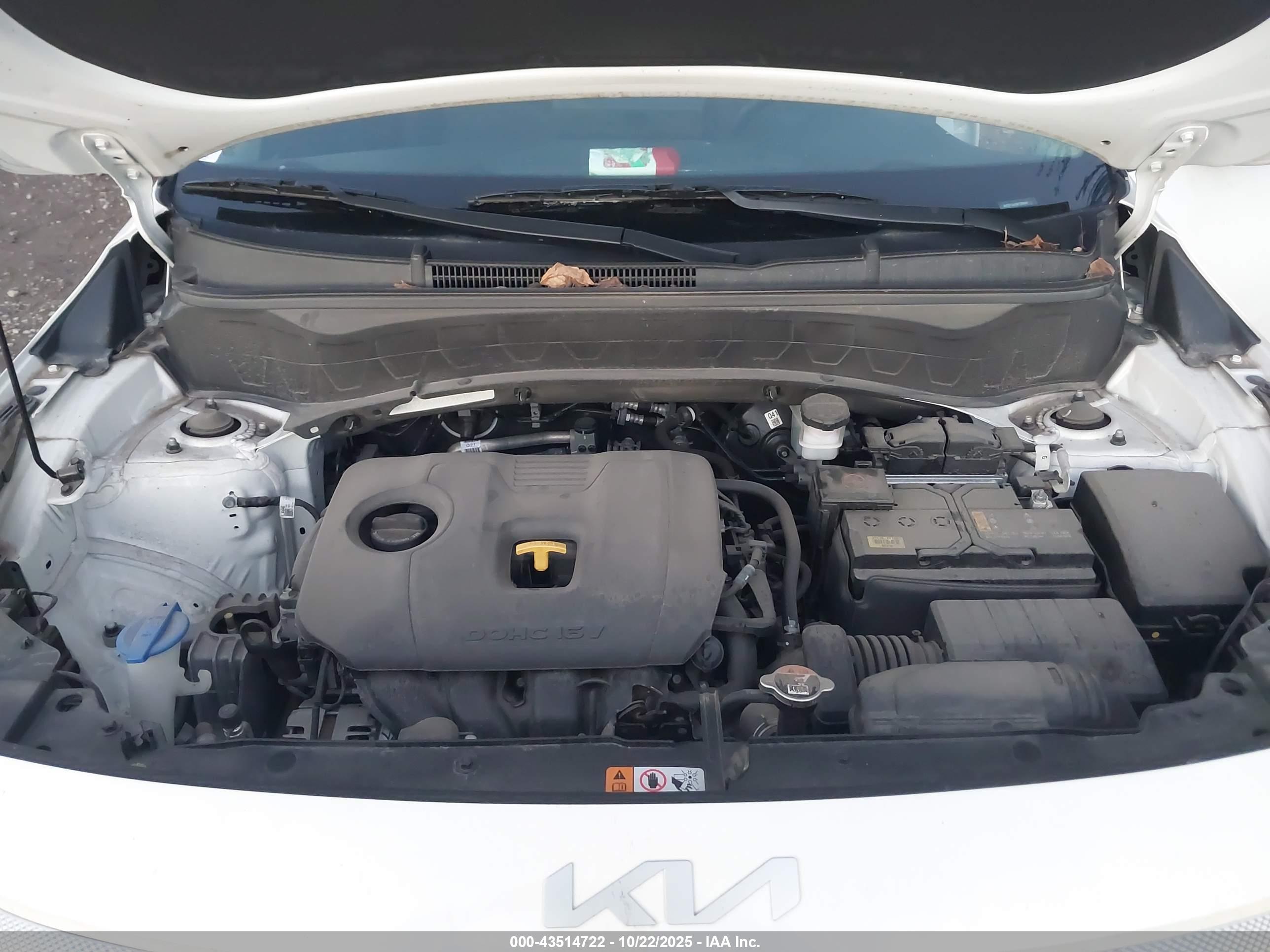 KIA SELTOS image 10