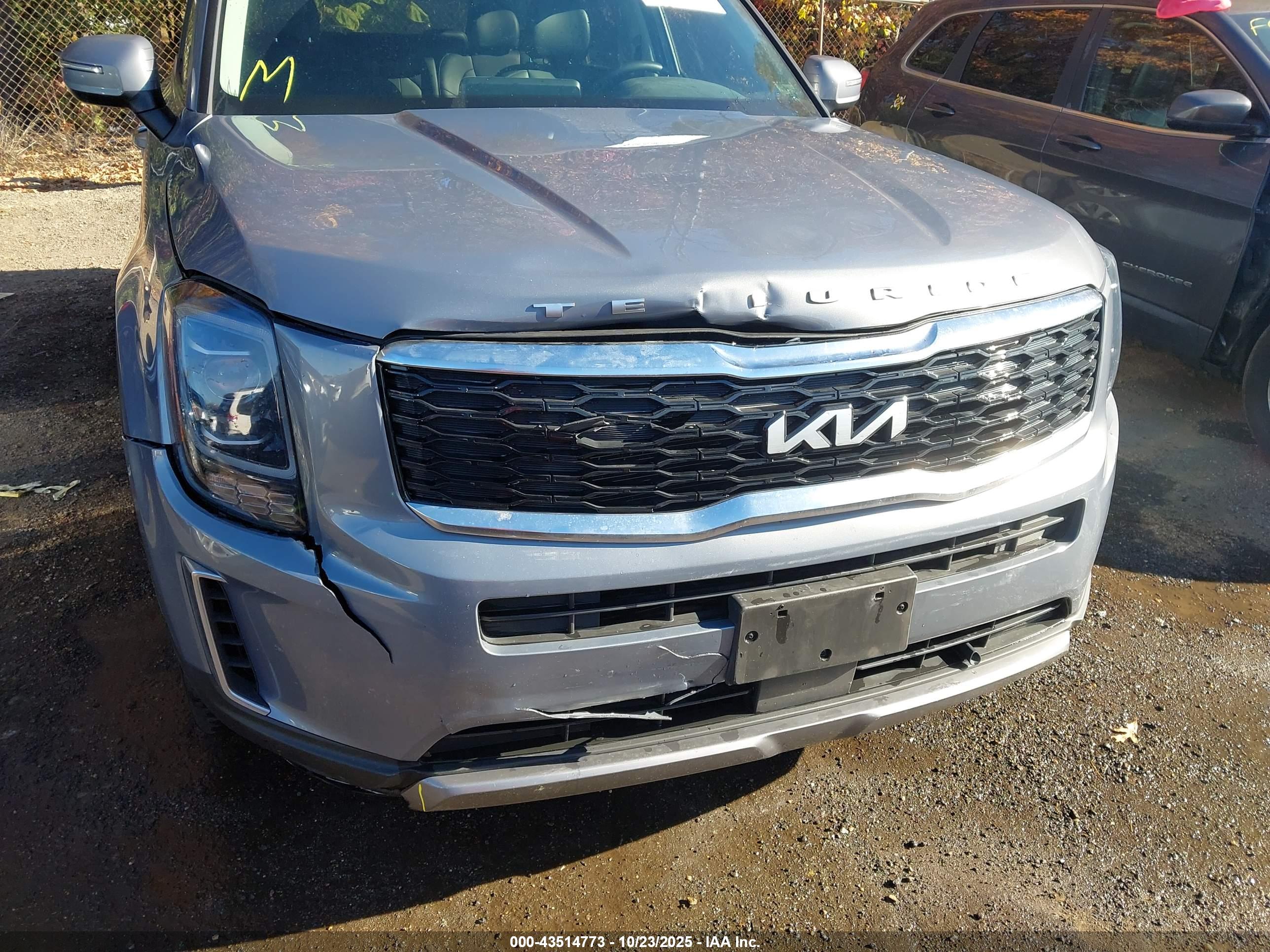 KIA TELLURIDE image 6