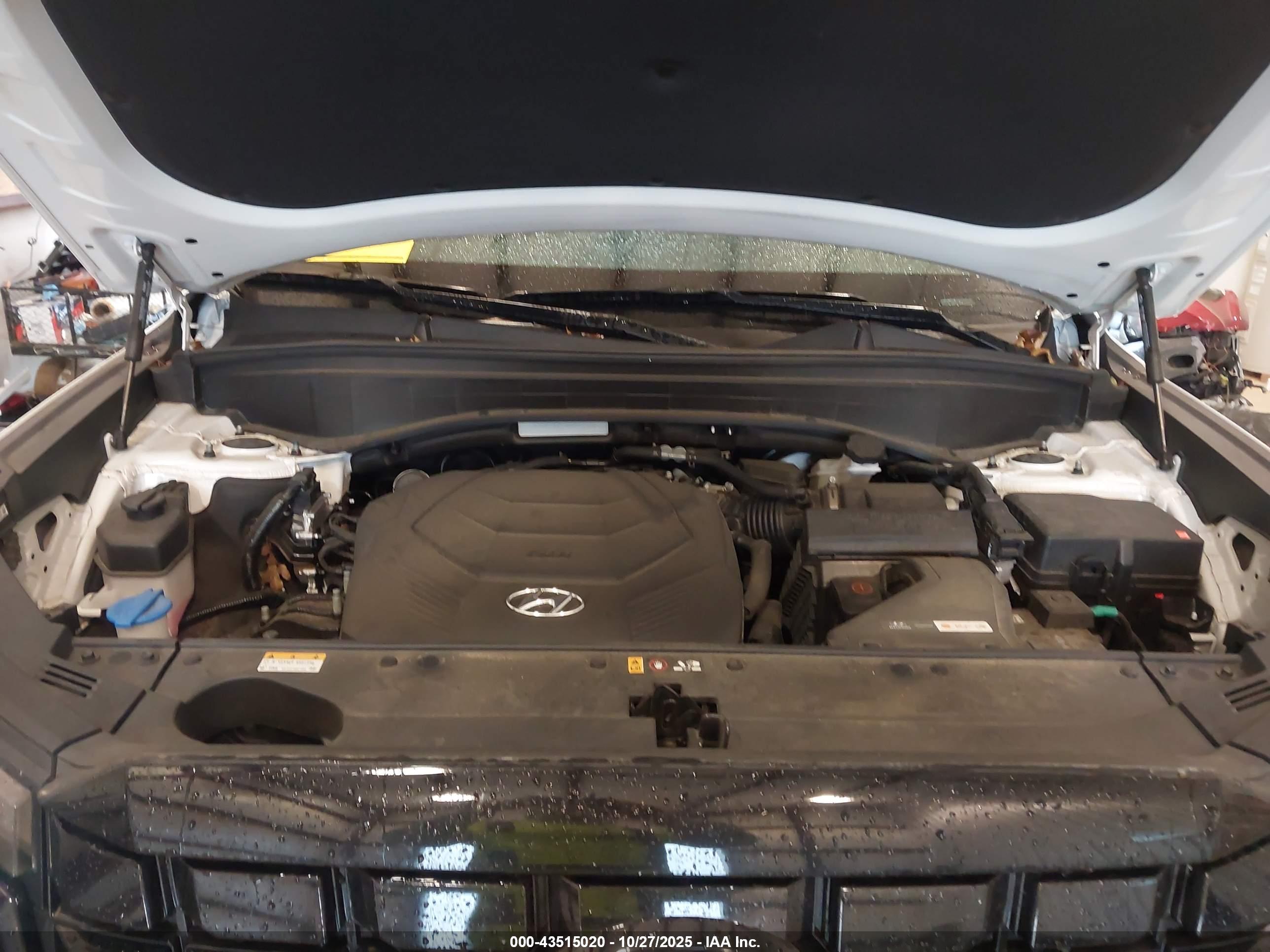 HYUNDAI PALISADE image 10