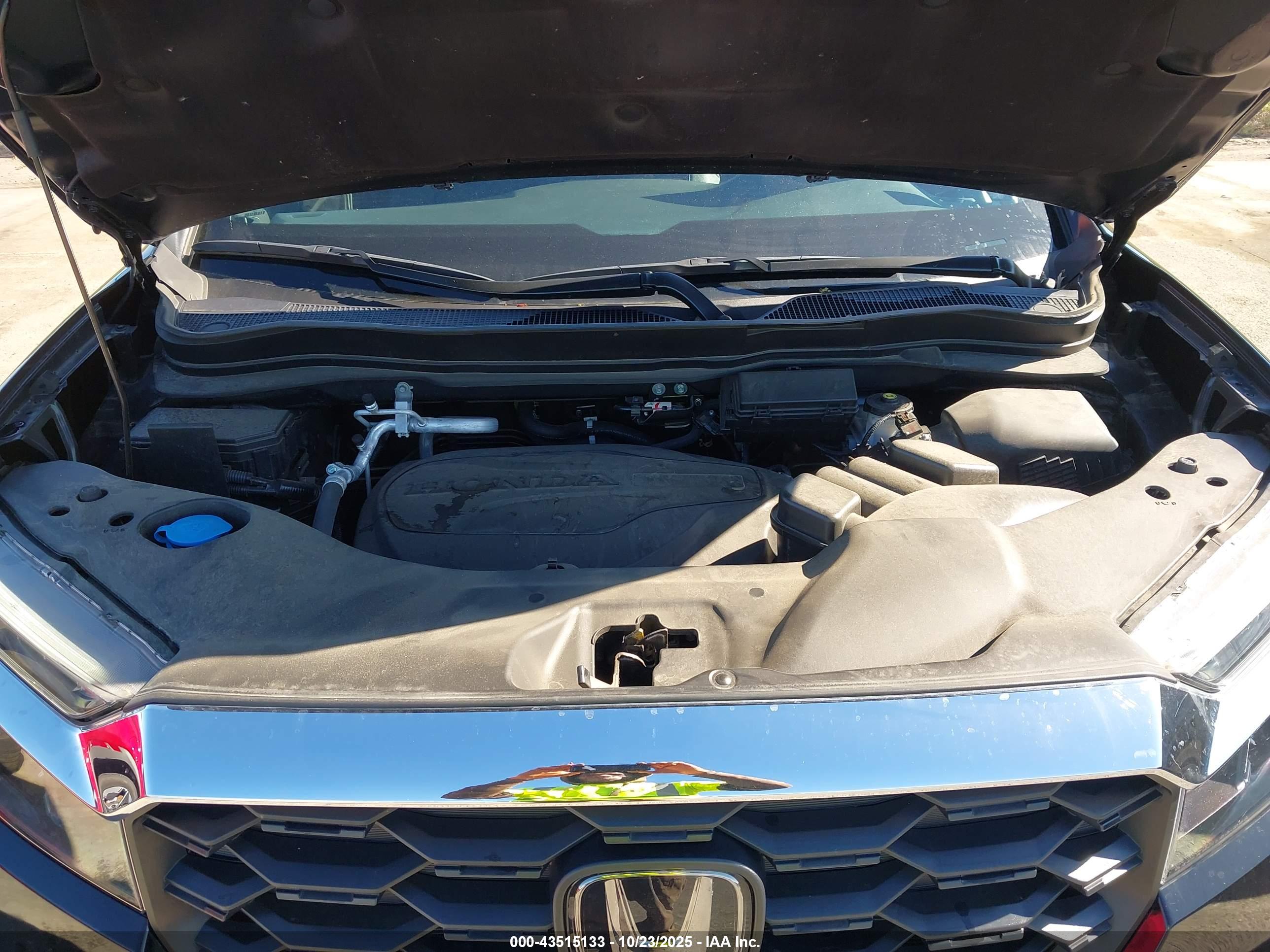 HONDA PASSPORT image 10