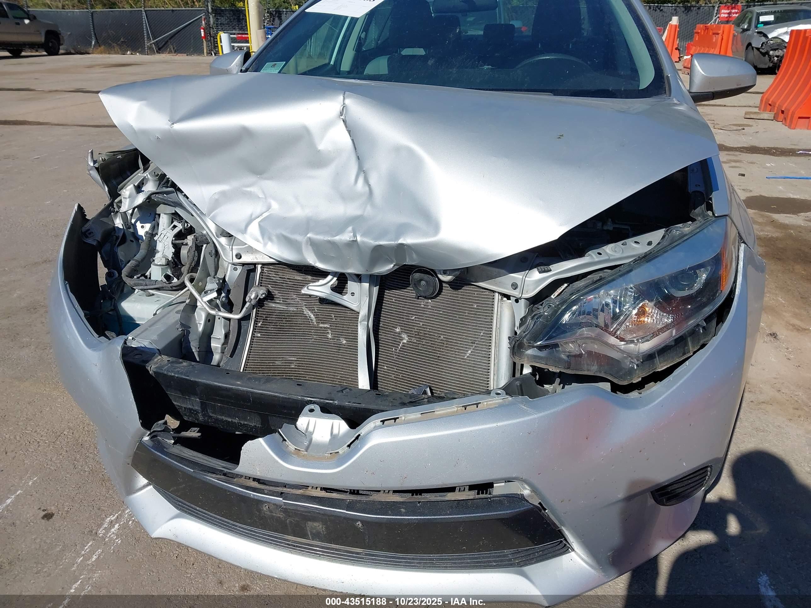 TOYOTA COROLLA image 6