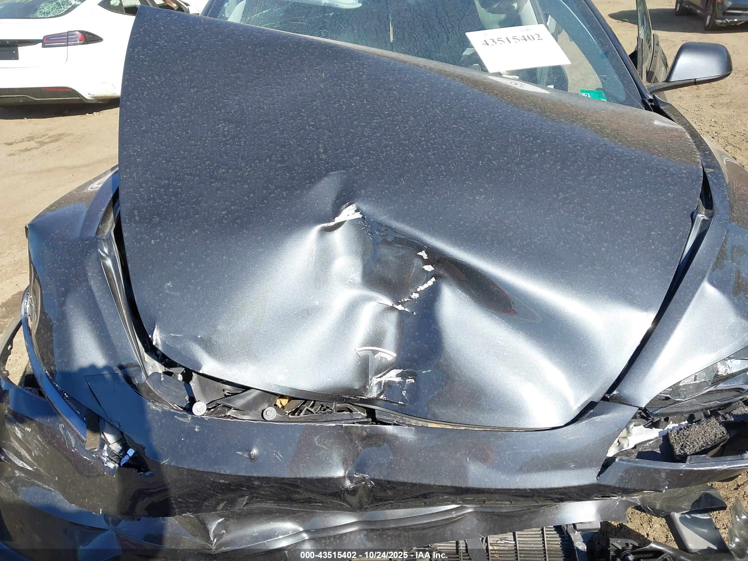 TESLA MODEL image 10