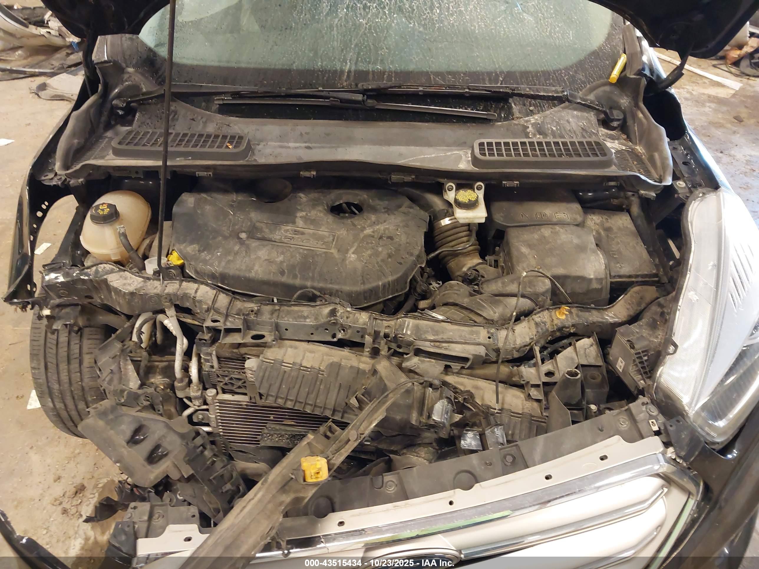 FORD ESCAPE image 10