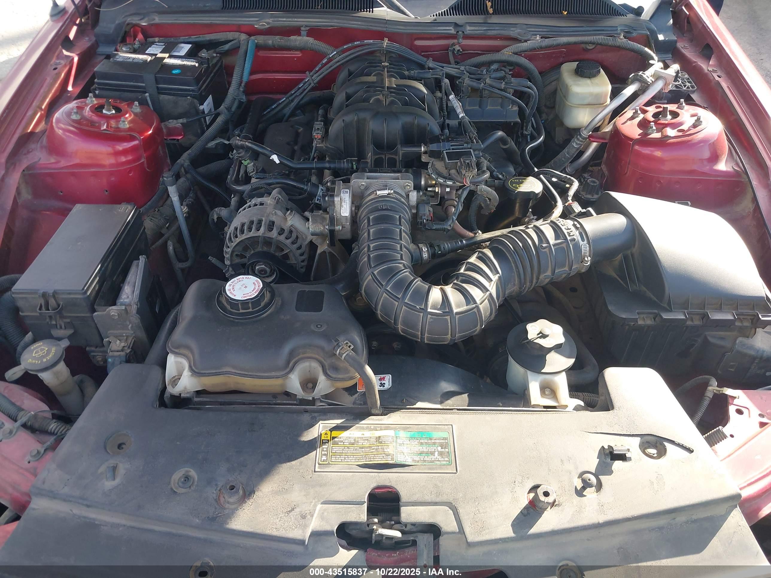 FORD MUSTANG image 10