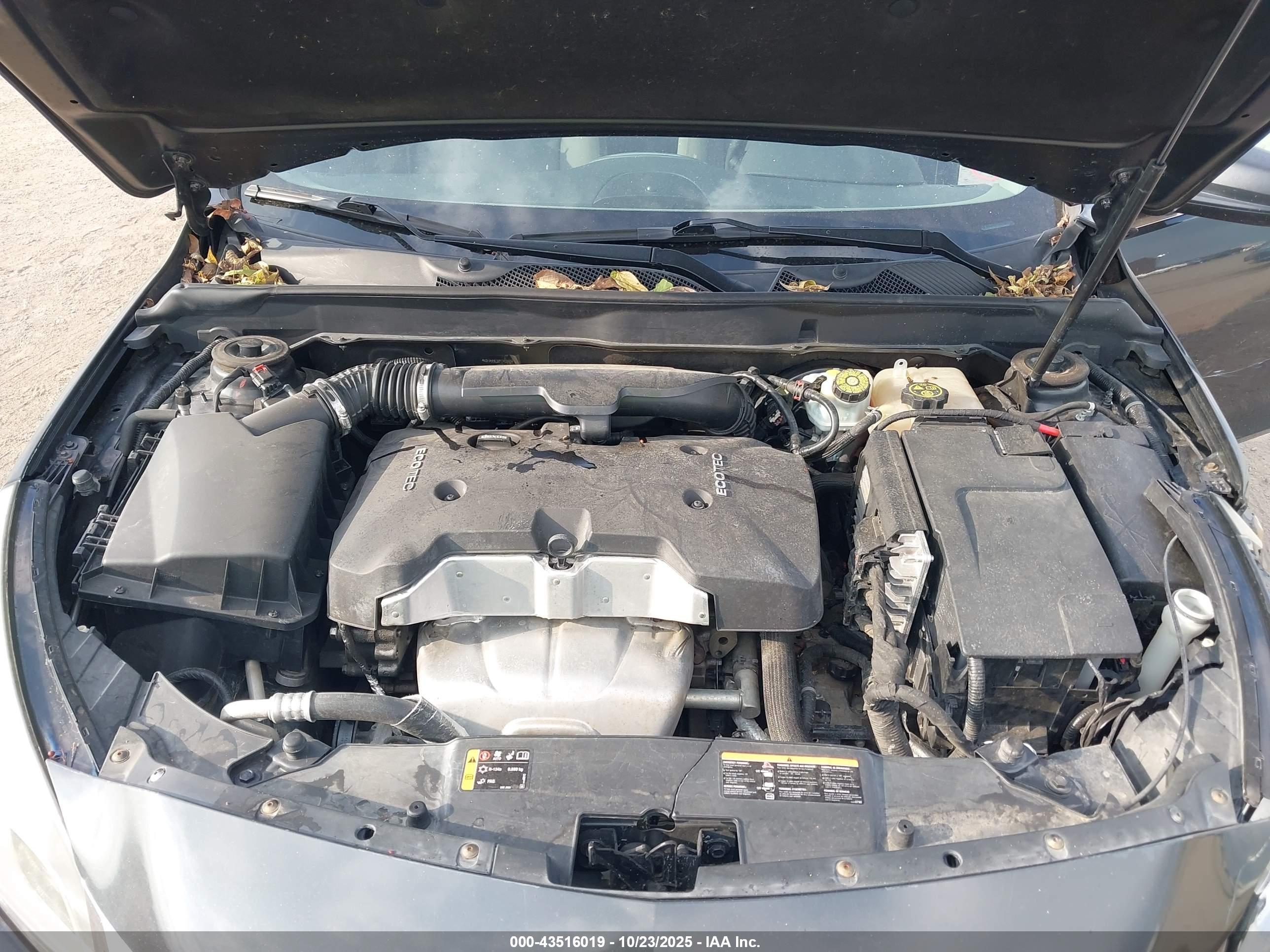 CHEVROLET MALIBU image 10