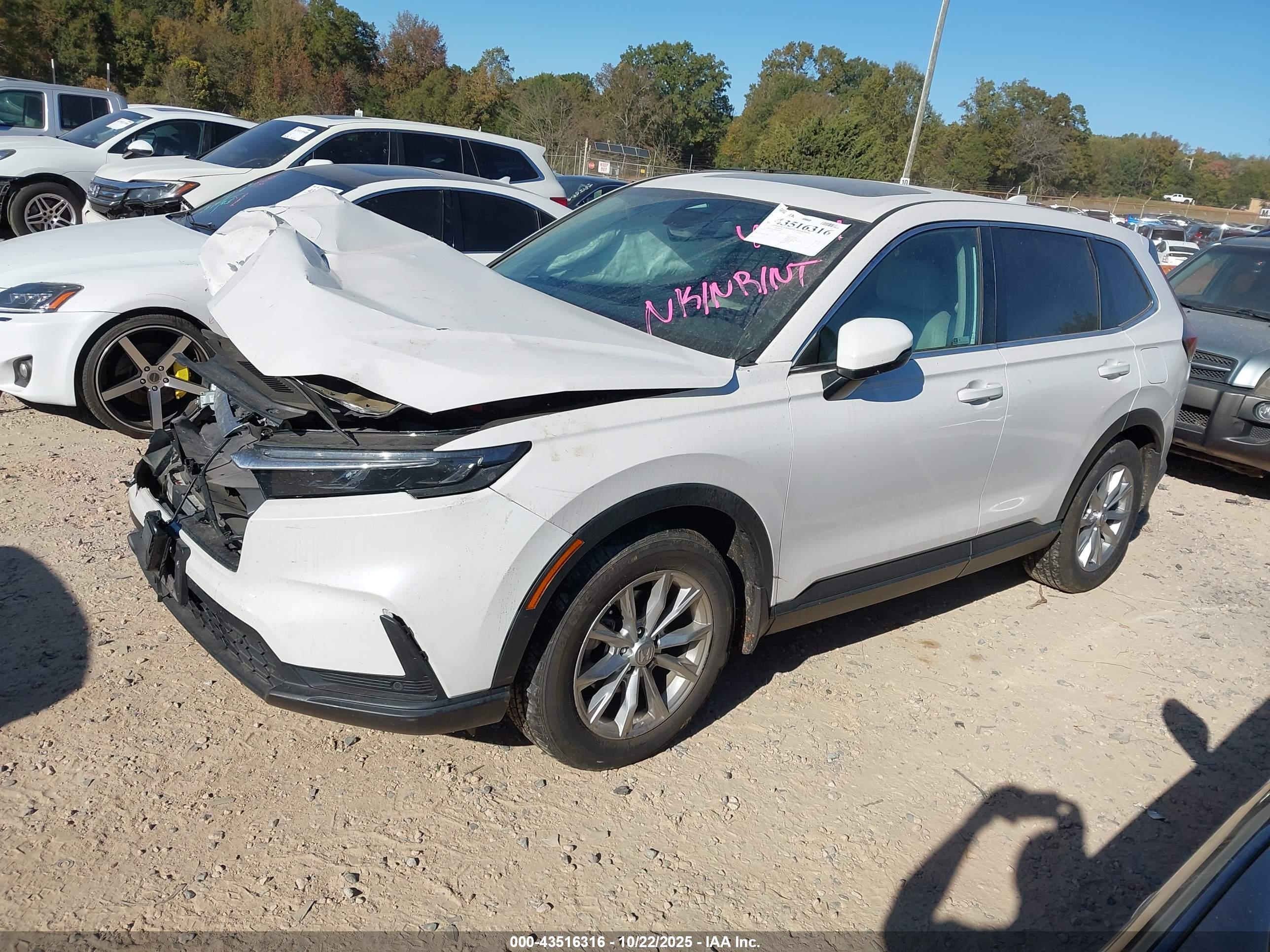 HONDA CR-V image 2
