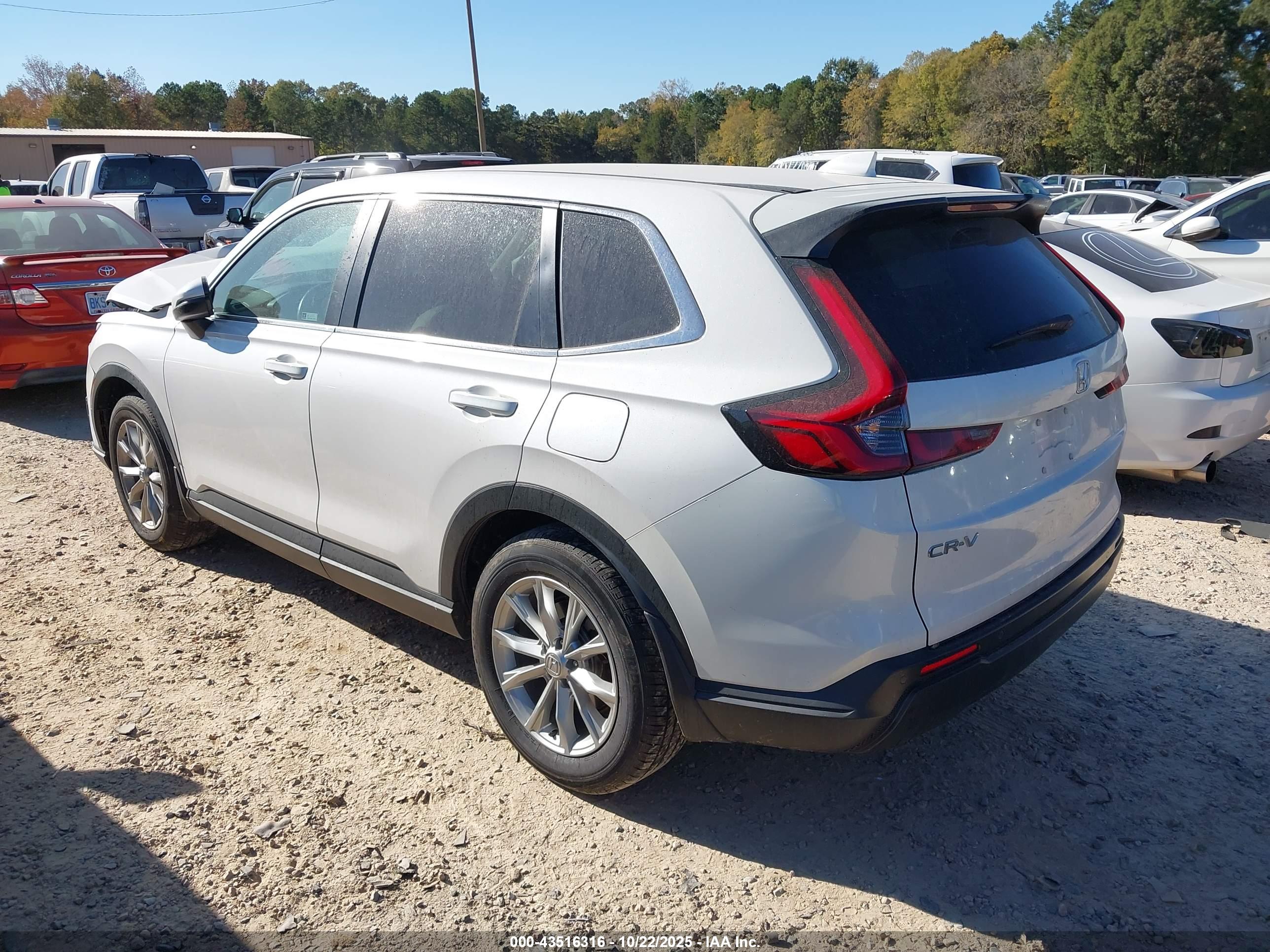 HONDA CR-V image 3
