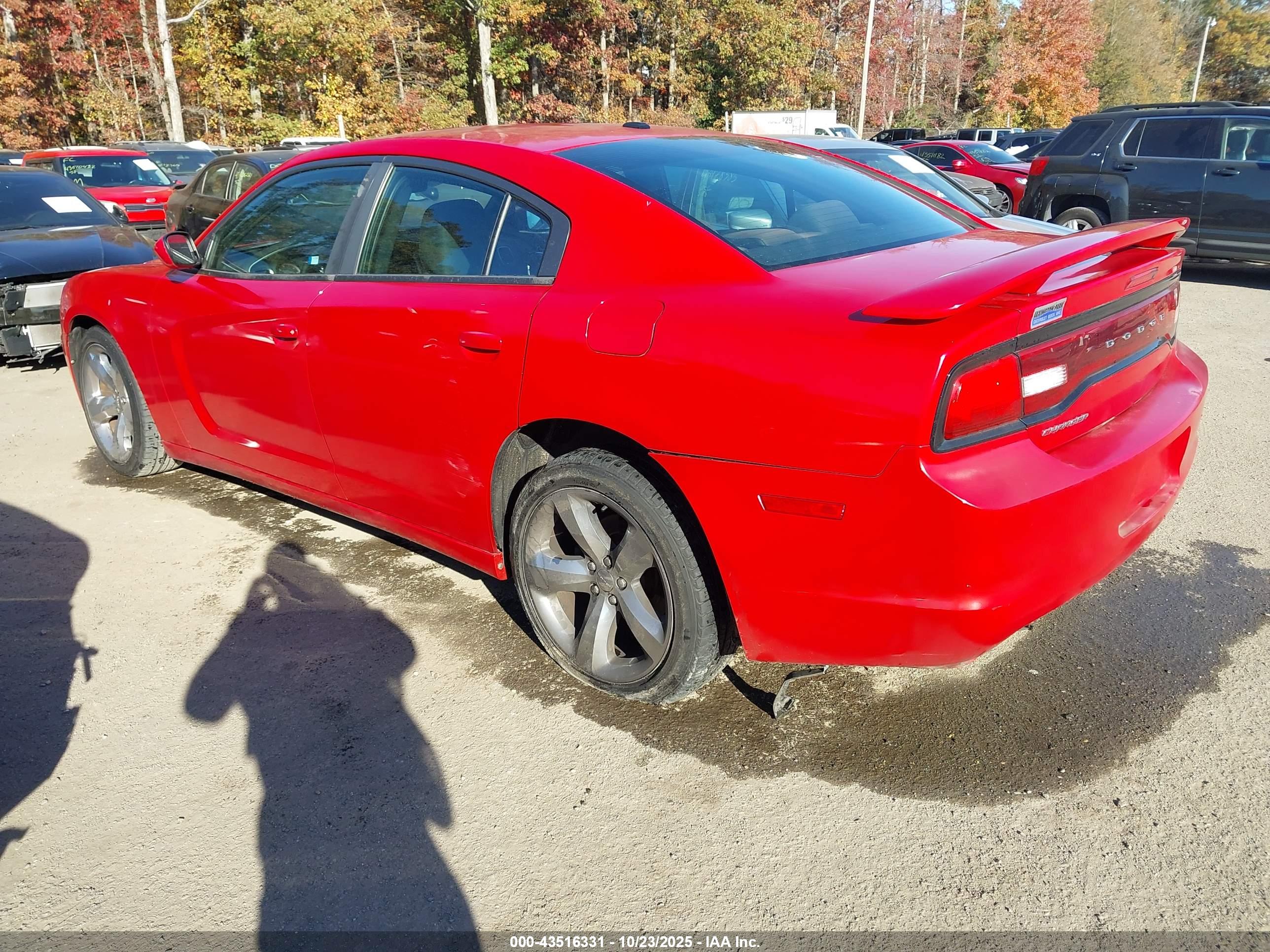 DODGE CHARGER image 3