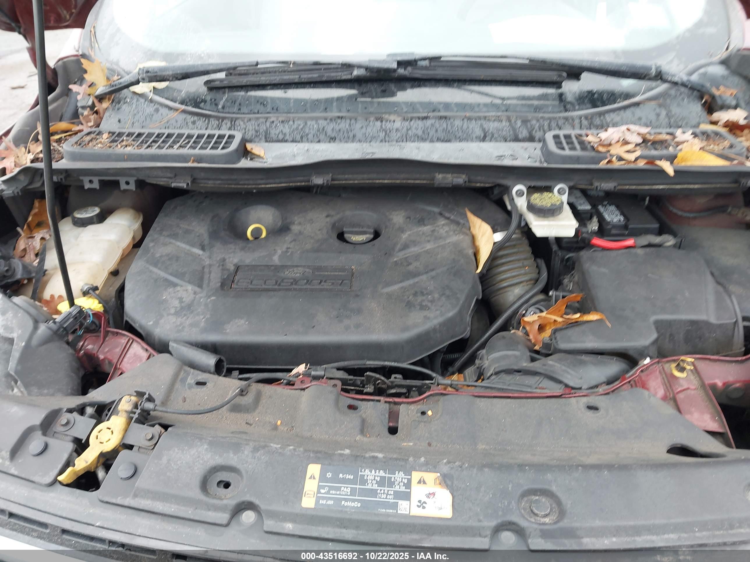 FORD ESCAPE image 10