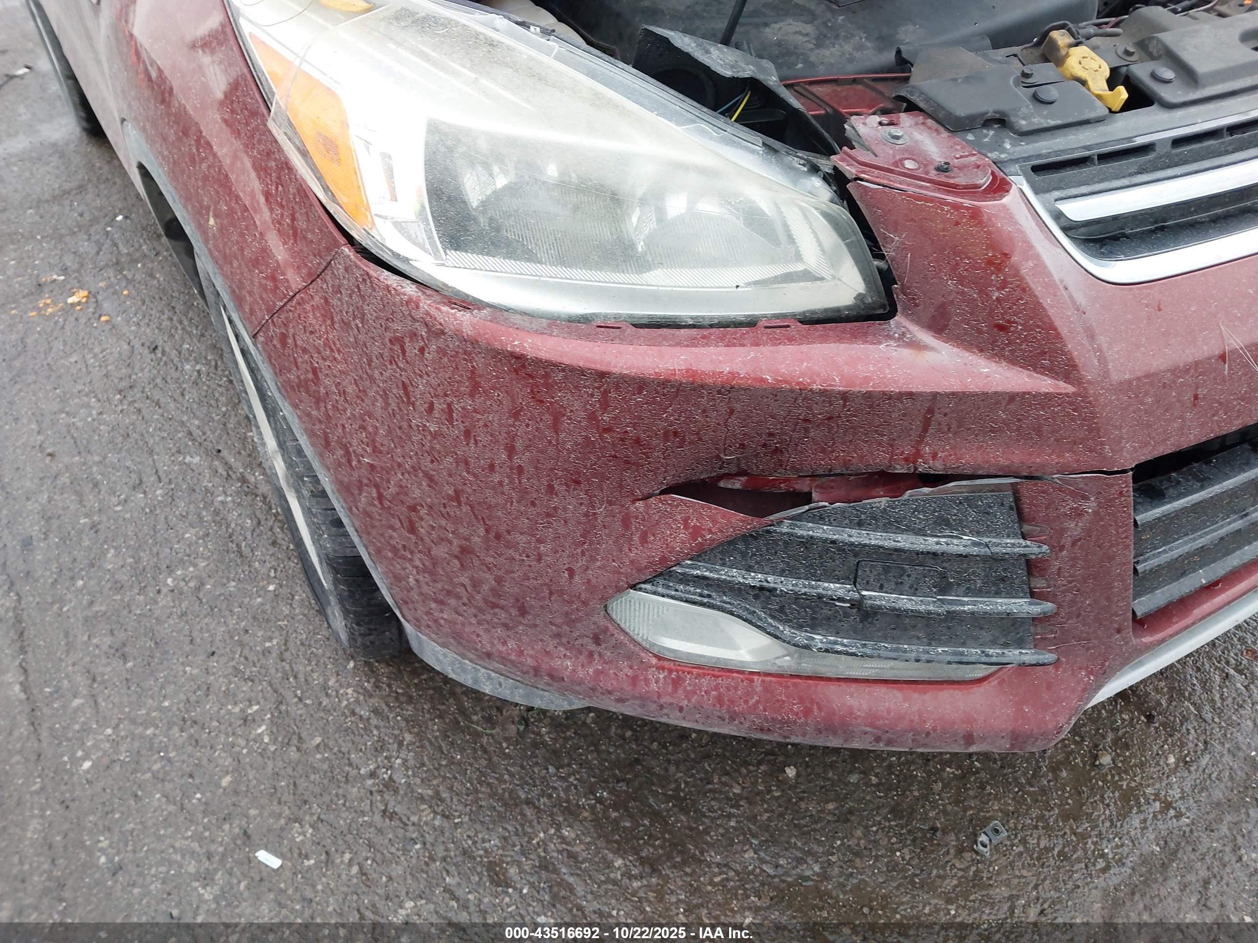 FORD ESCAPE image 6