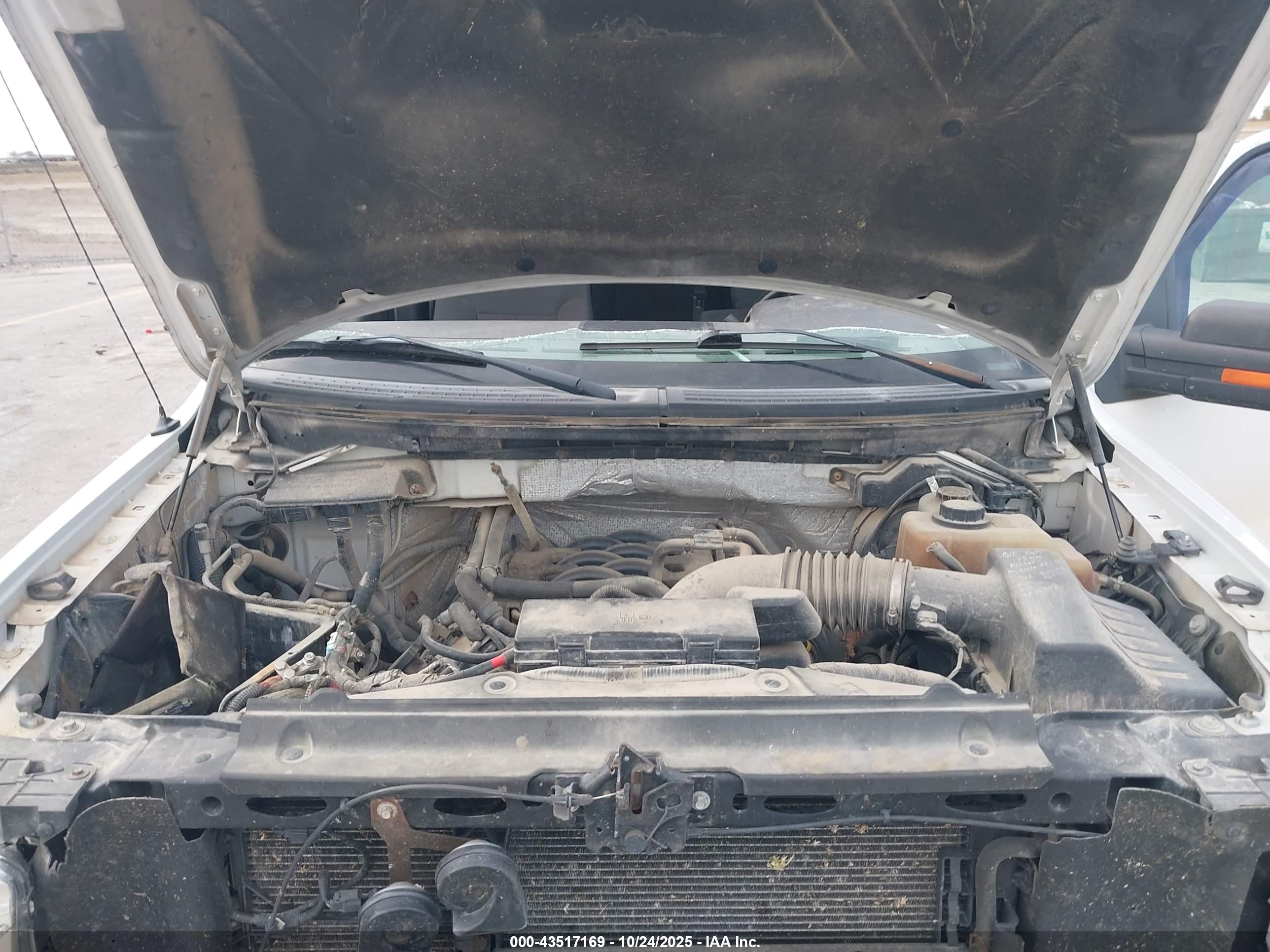 FORD F-150 image 10