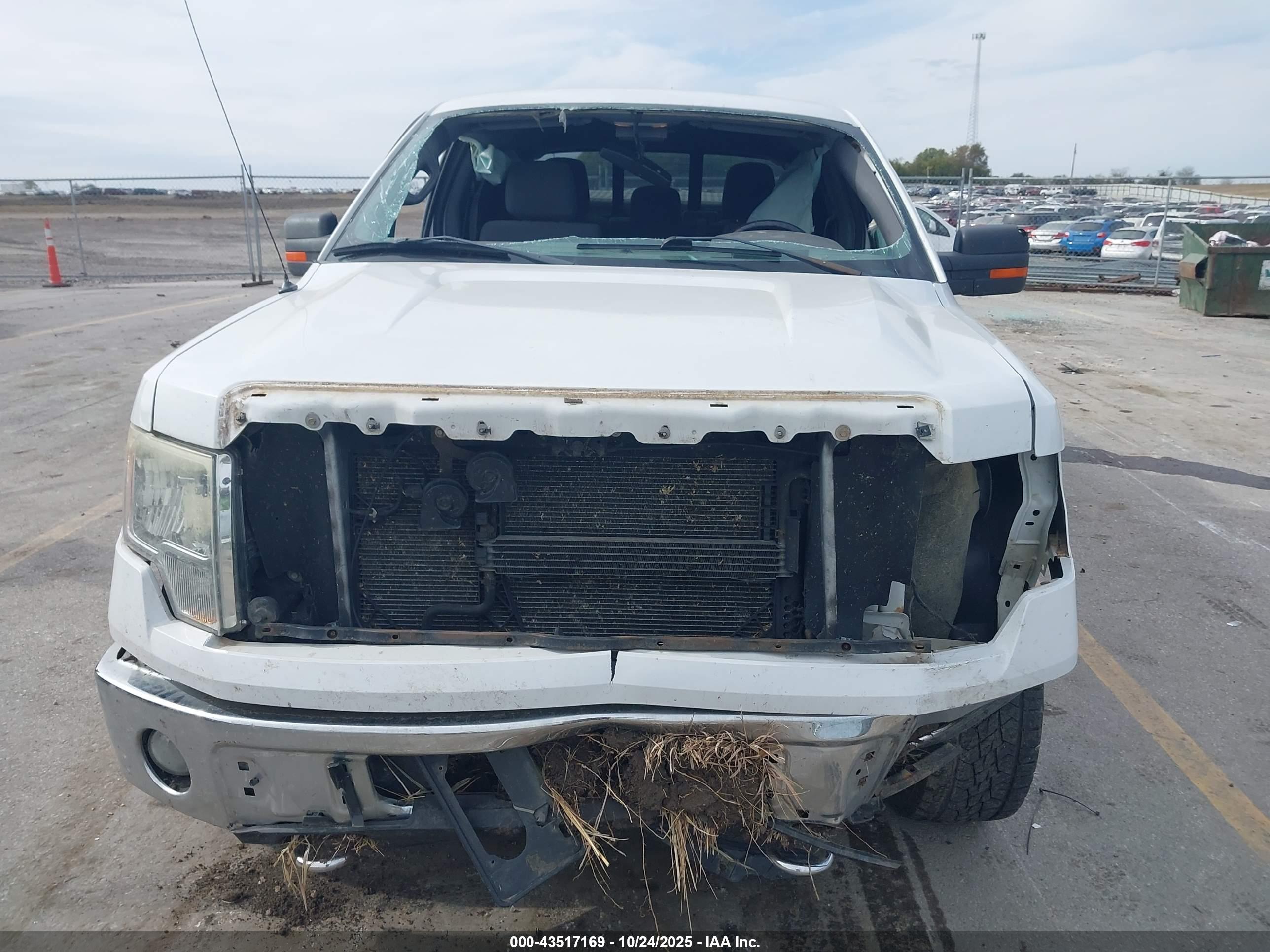 FORD F-150 image 6