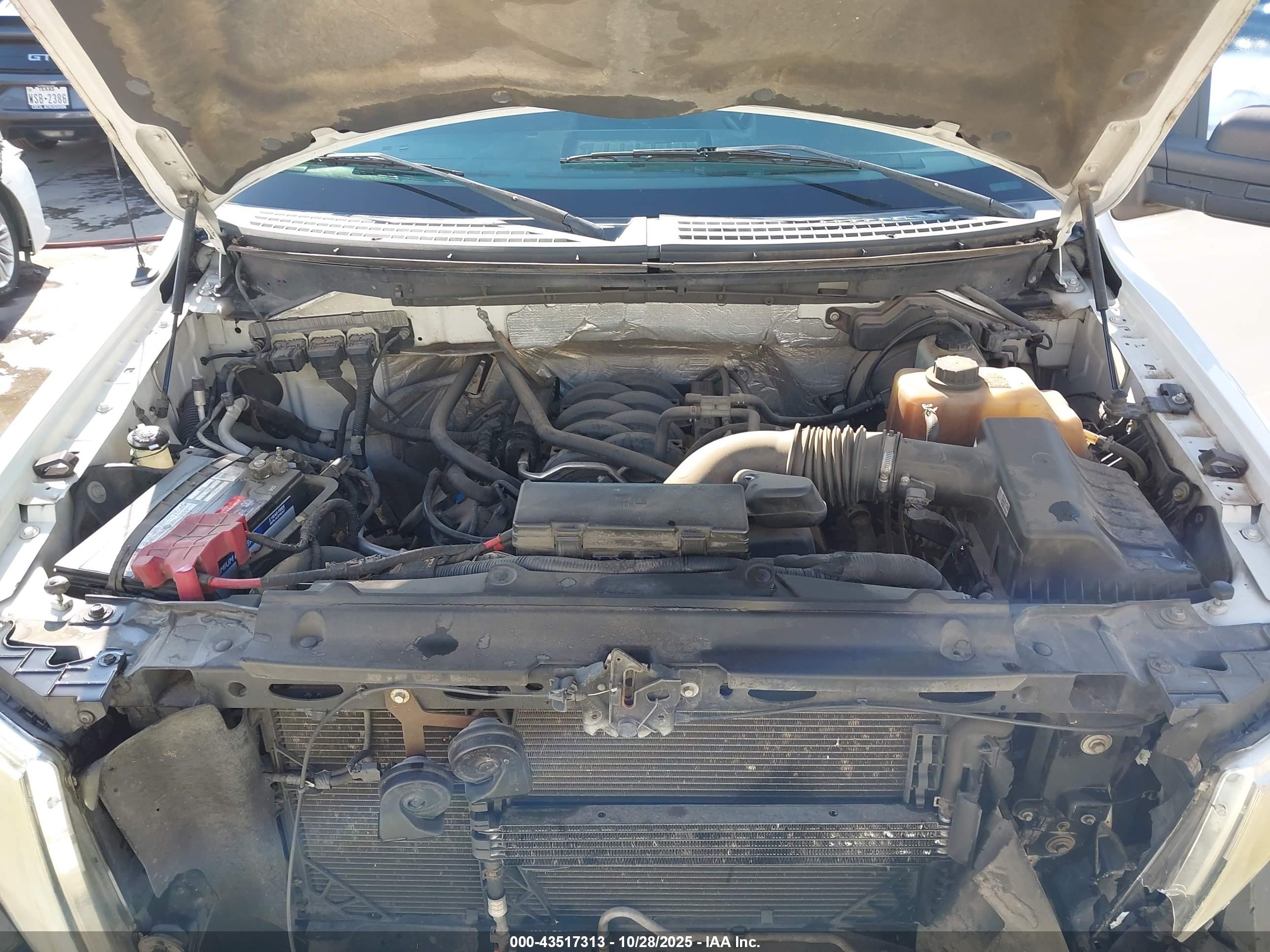 FORD F-150 image 10