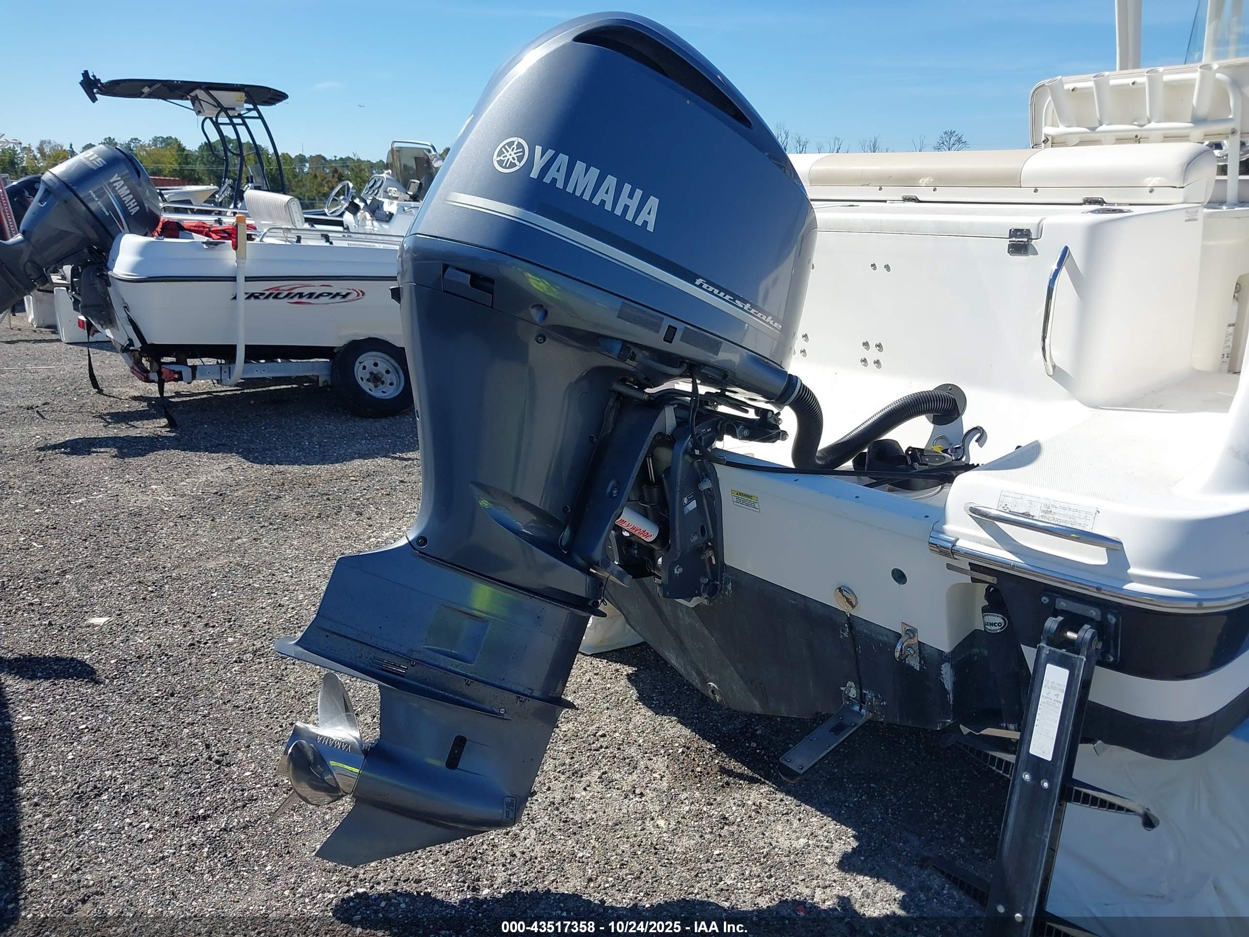 ROBALO ROBALO image 10