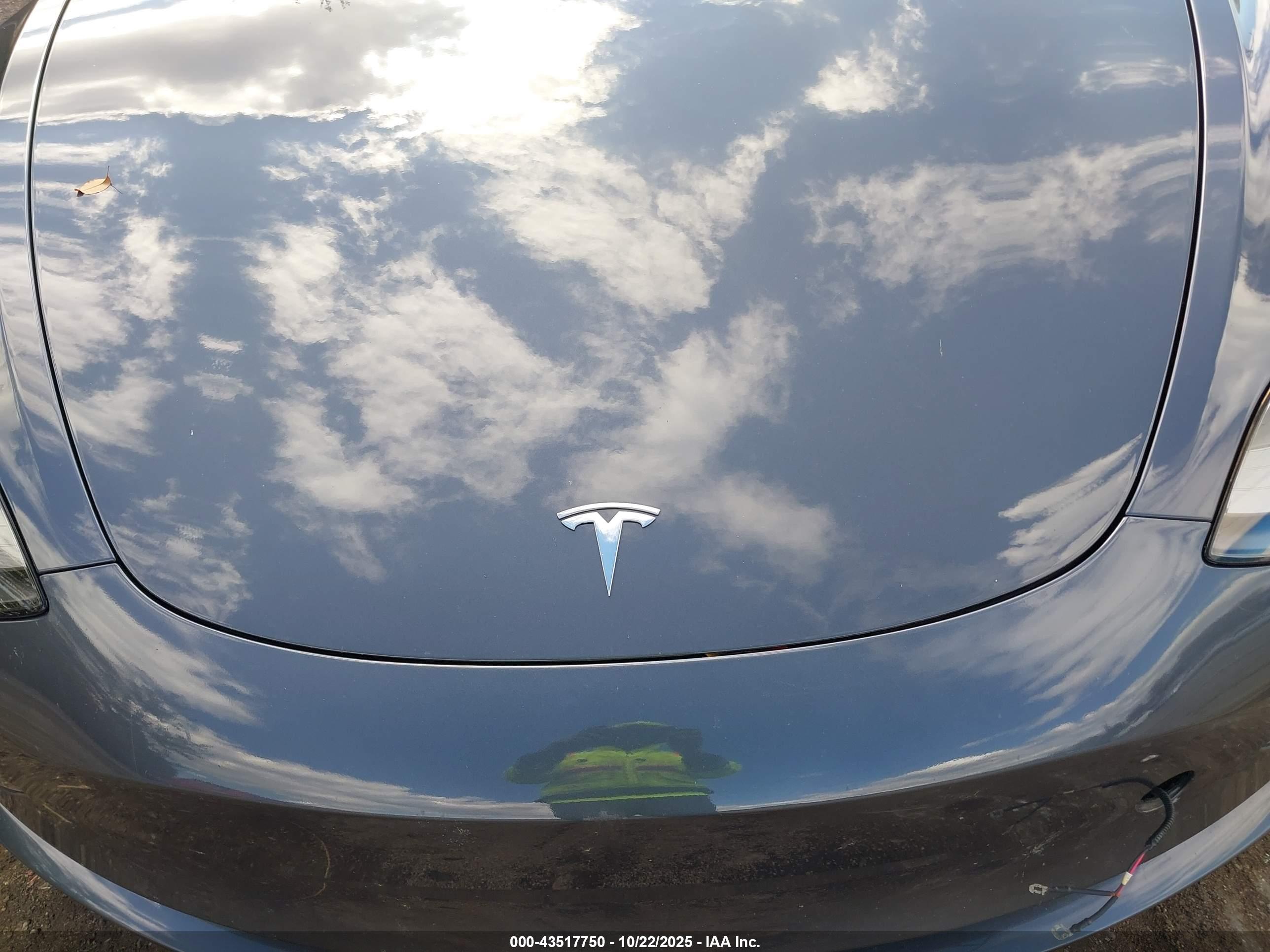TESLA MODEL image 10