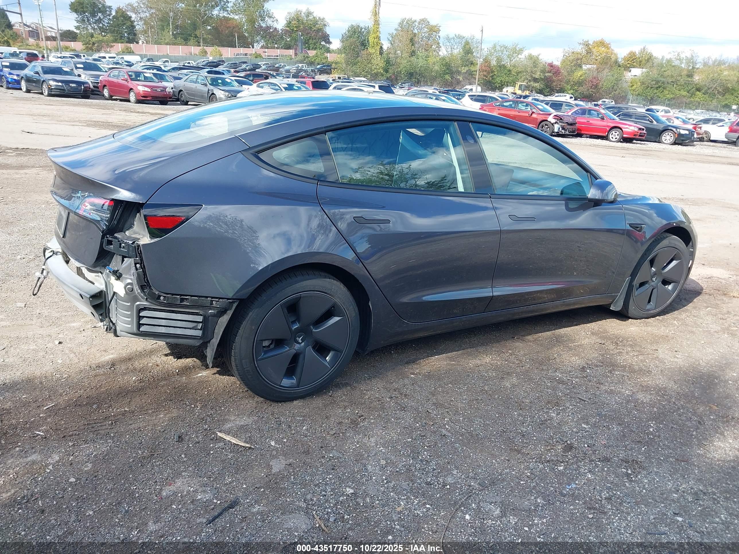 TESLA MODEL image 4