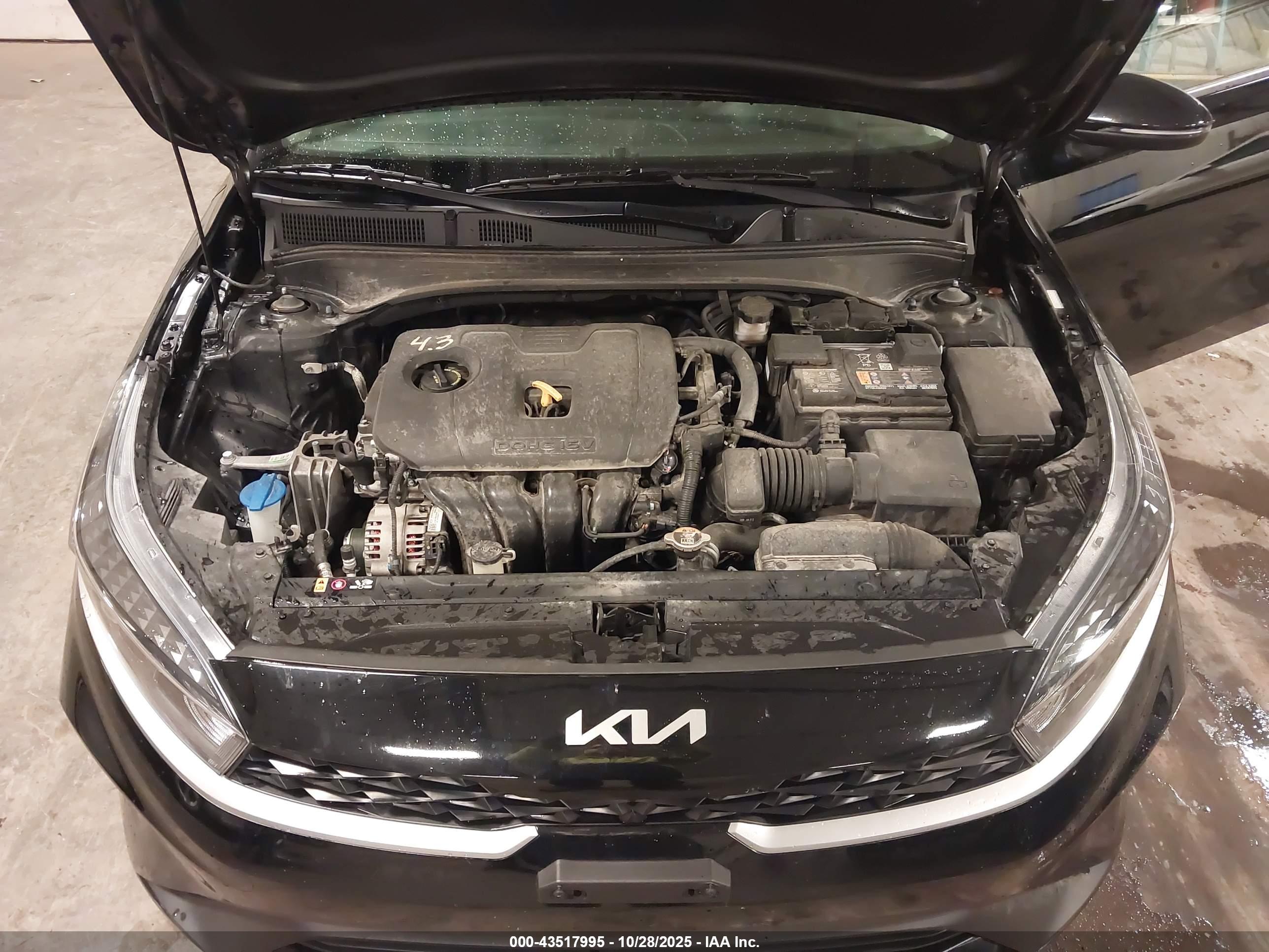 KIA FORTE image 10