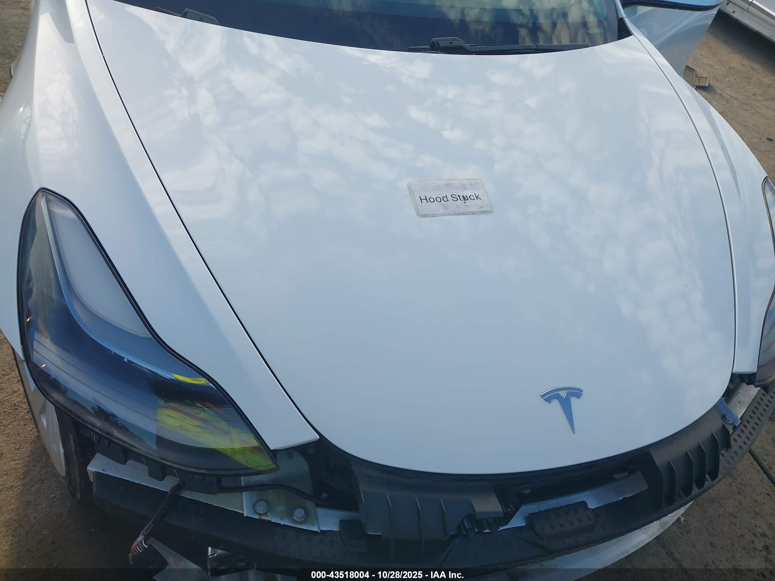 TESLA MODEL image 10