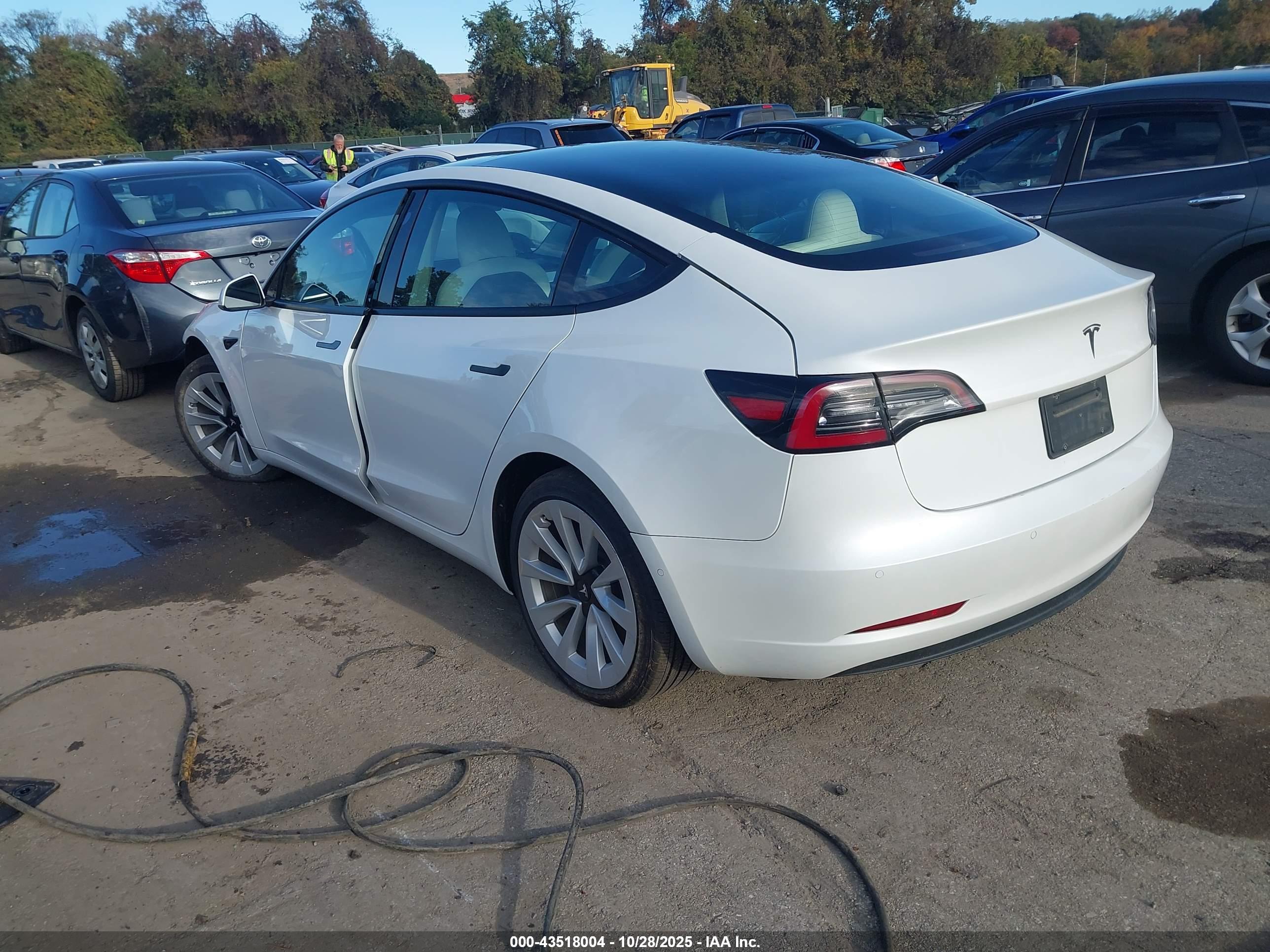 TESLA MODEL image 3