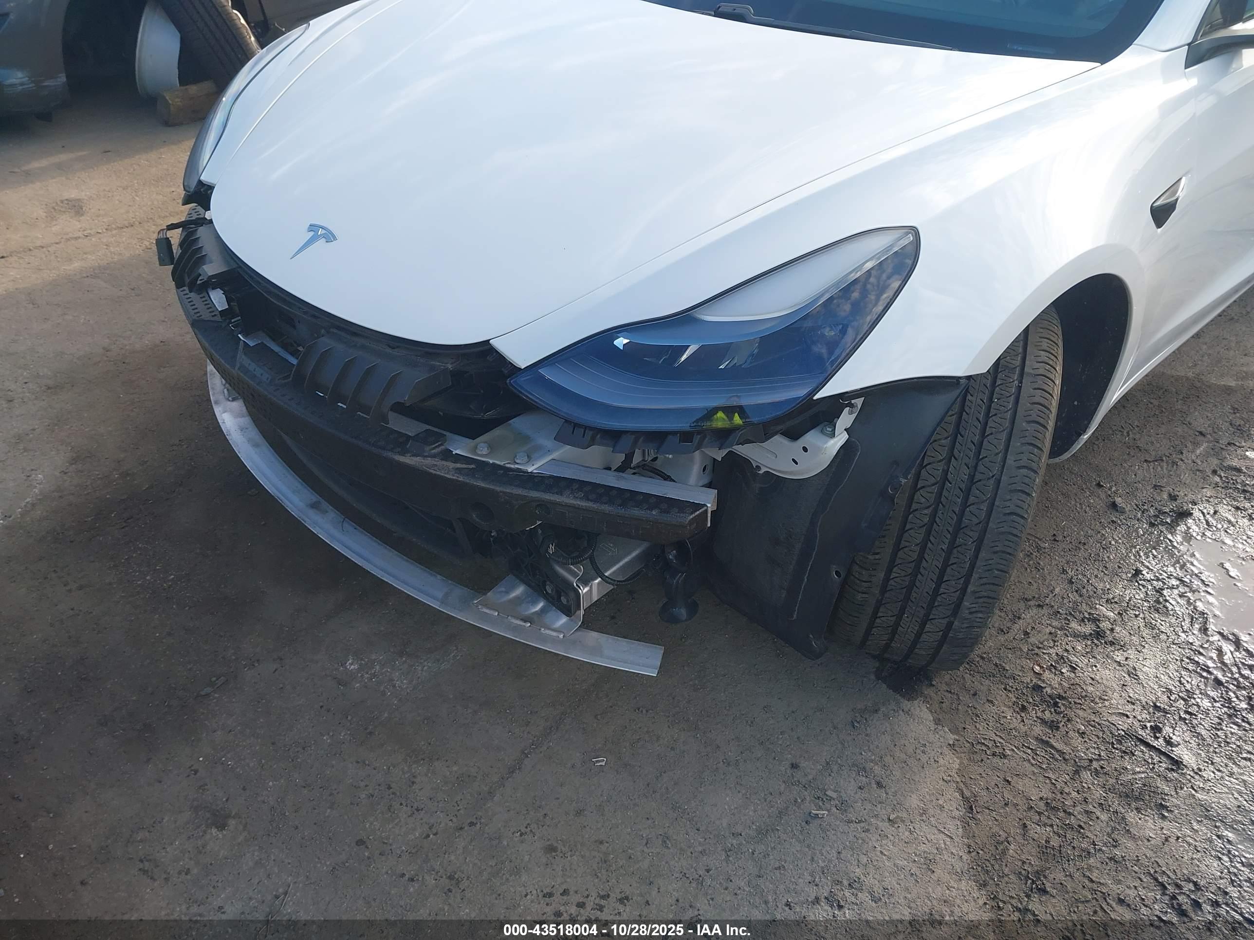 TESLA MODEL image 6