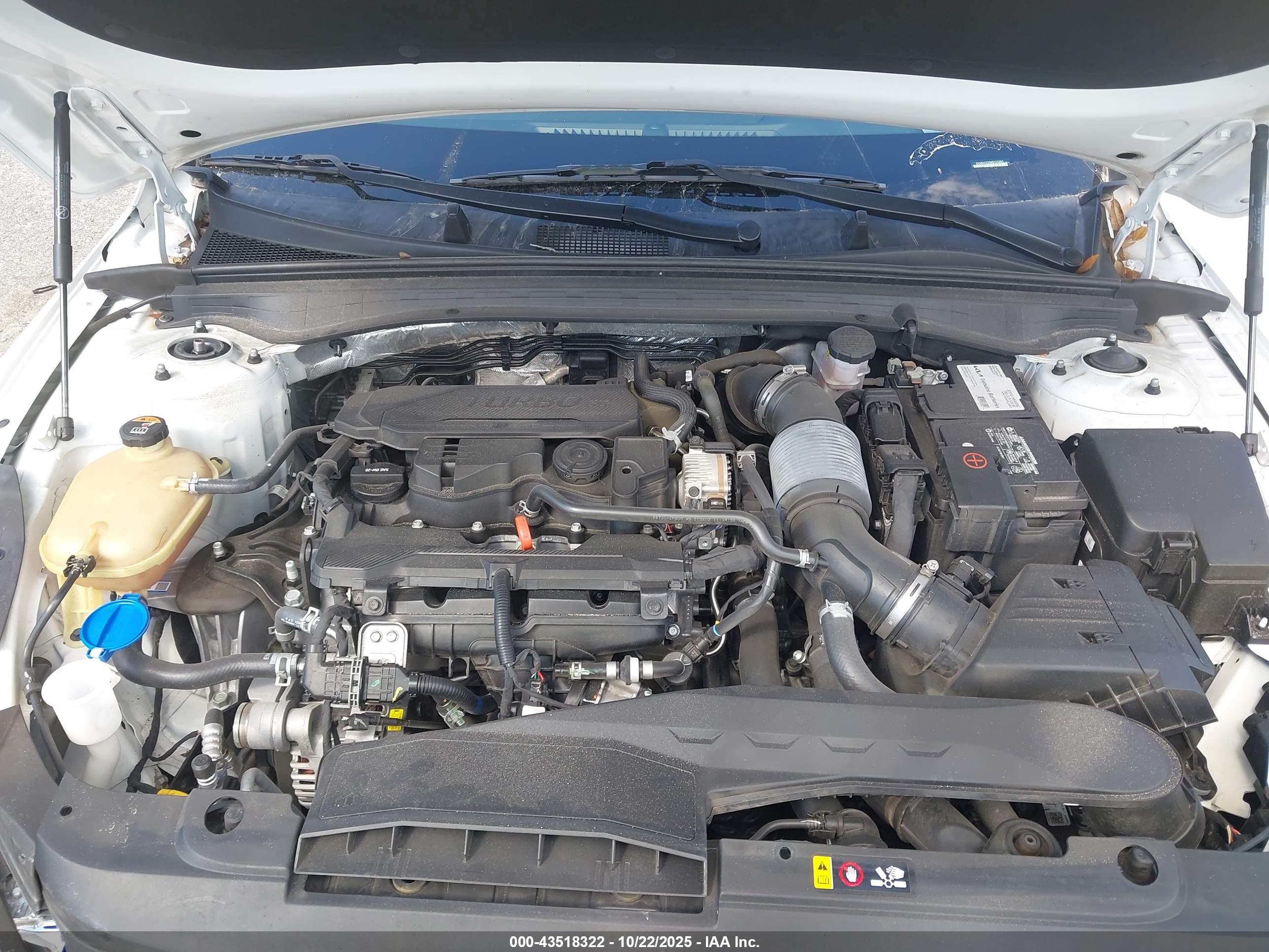 KIA K5 image 10