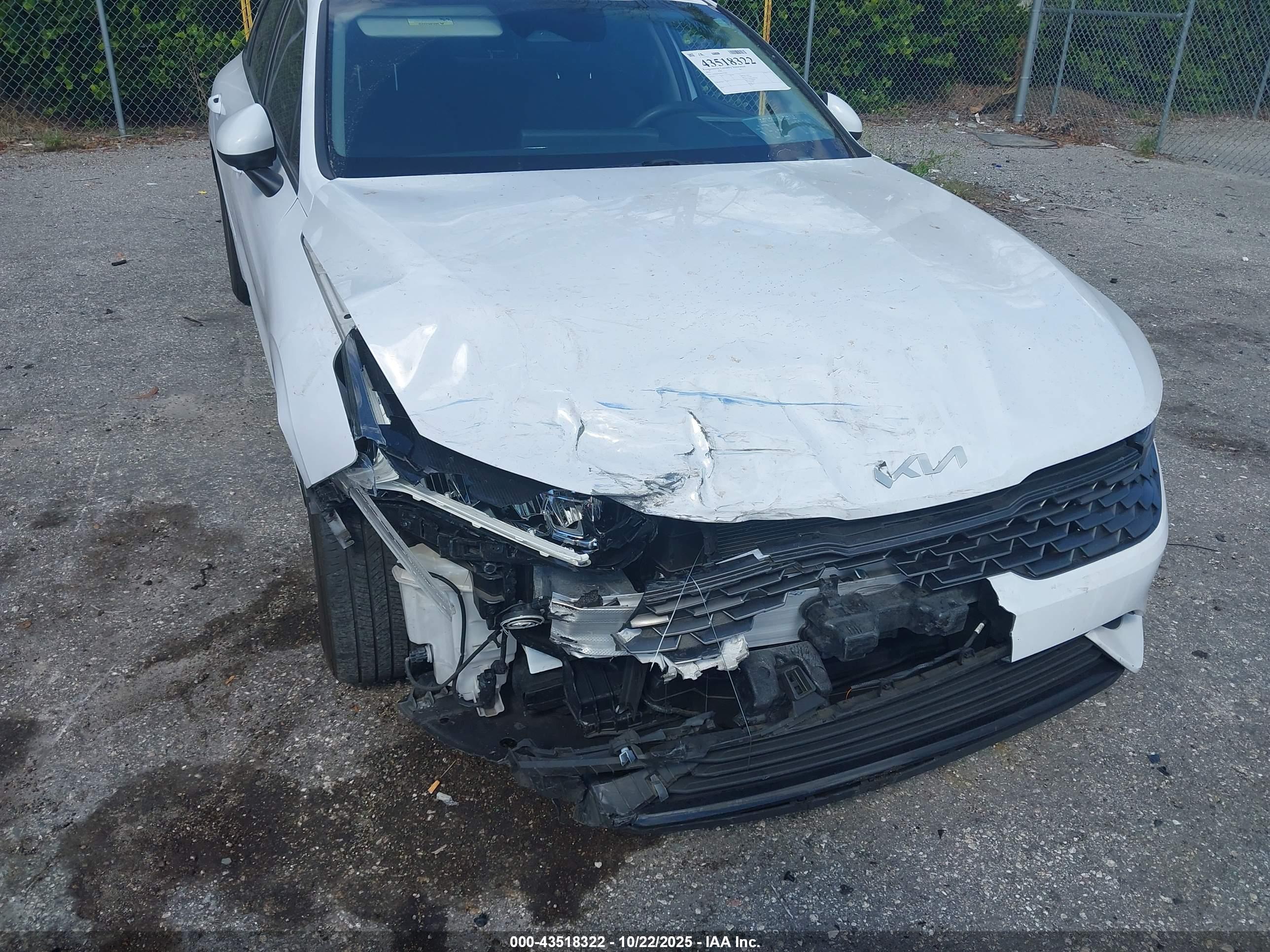 KIA K5 image 6