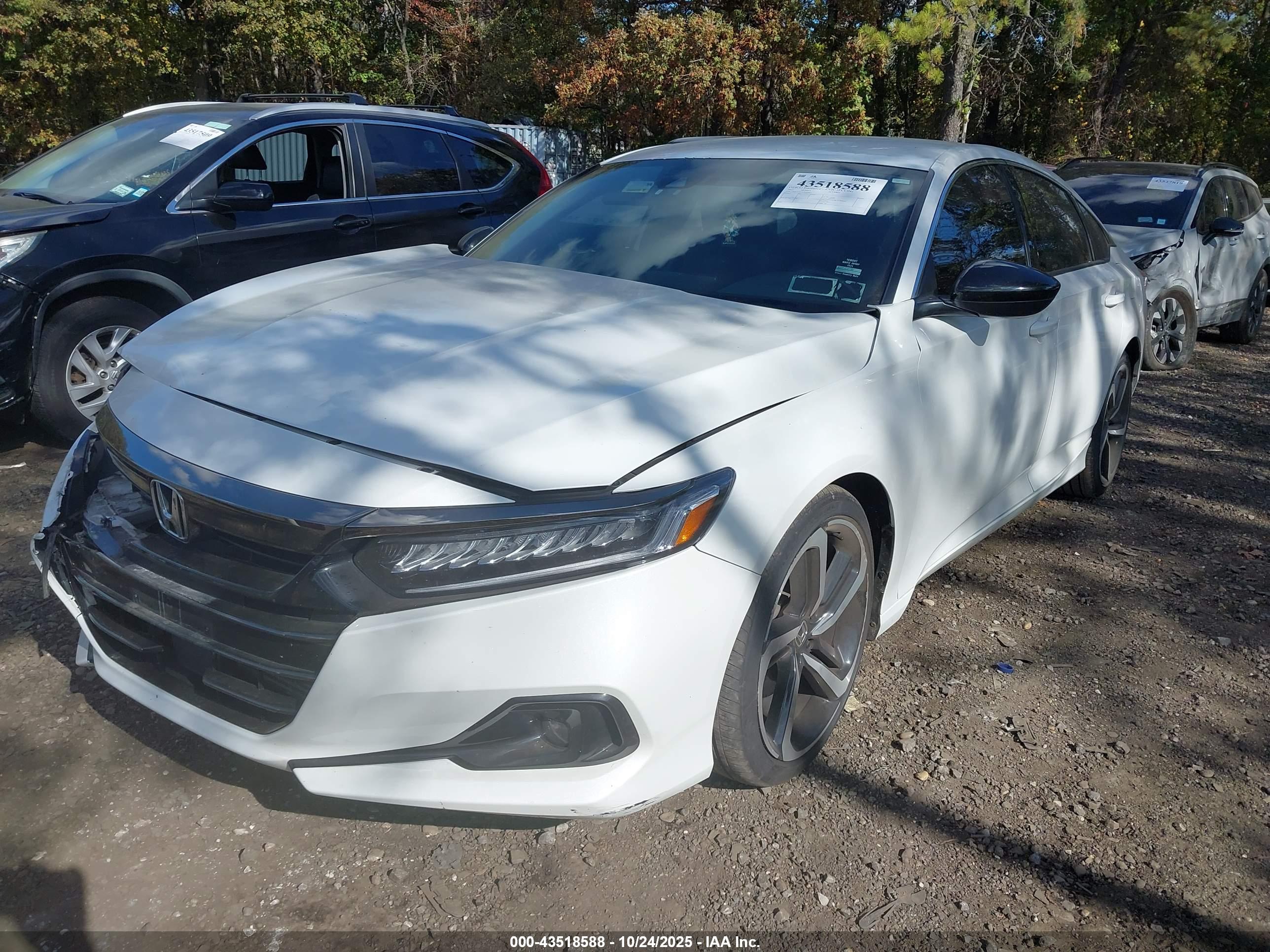 HONDA ACCORD image 2