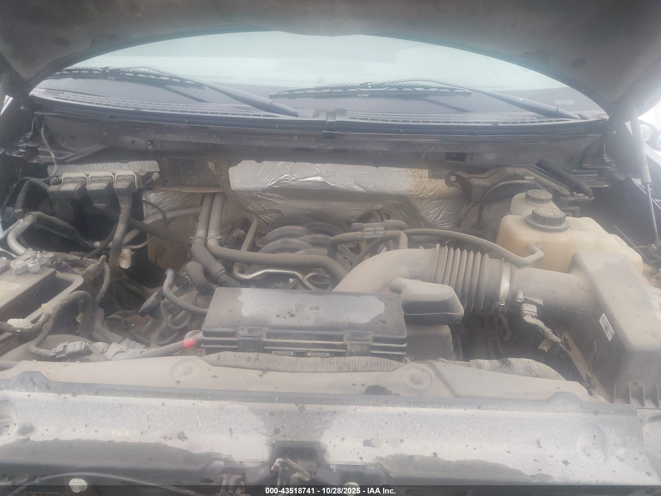 FORD F-150 image 10