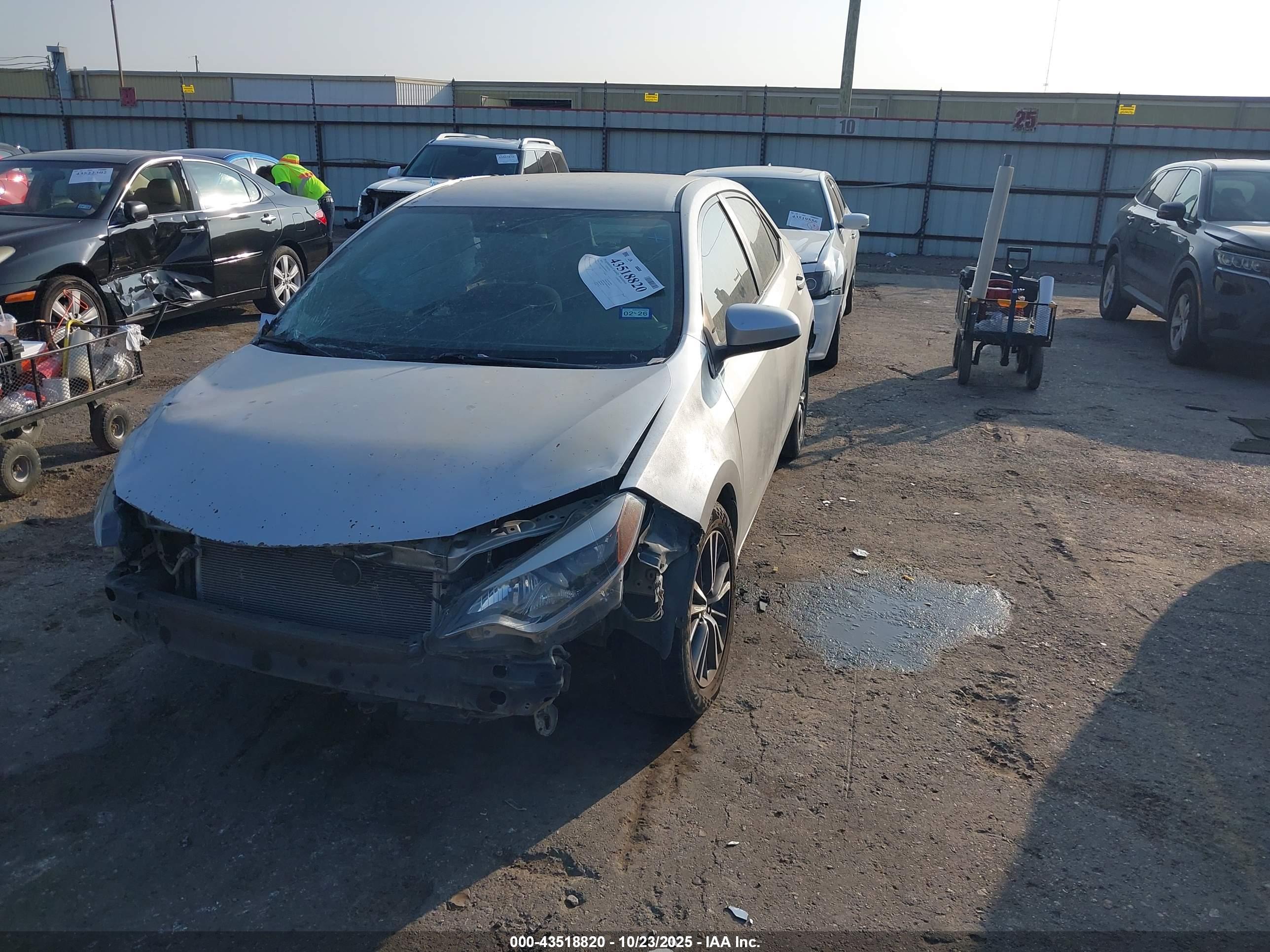 TOYOTA COROLLA image 2