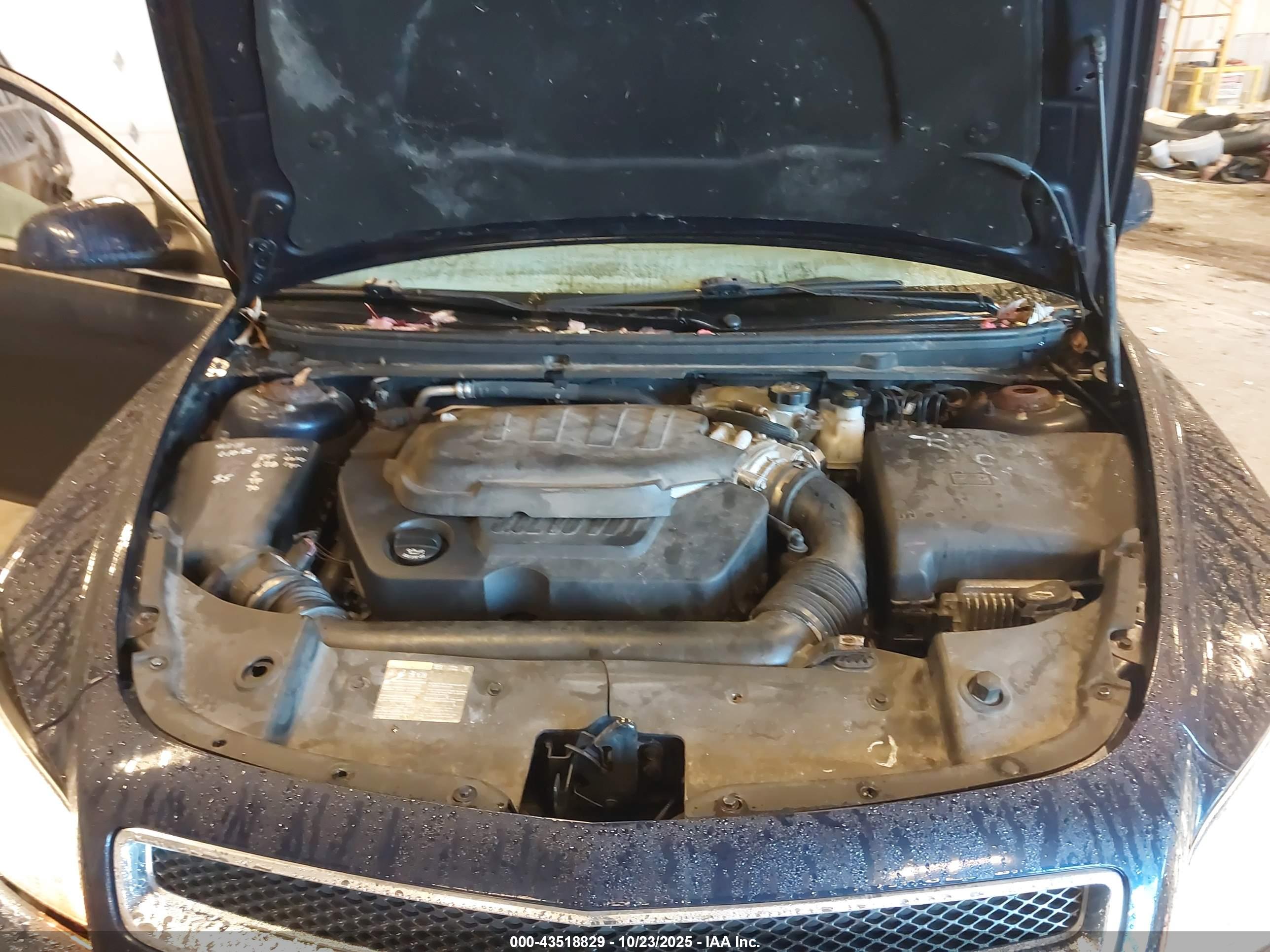 CHEVROLET MALIBU image 10