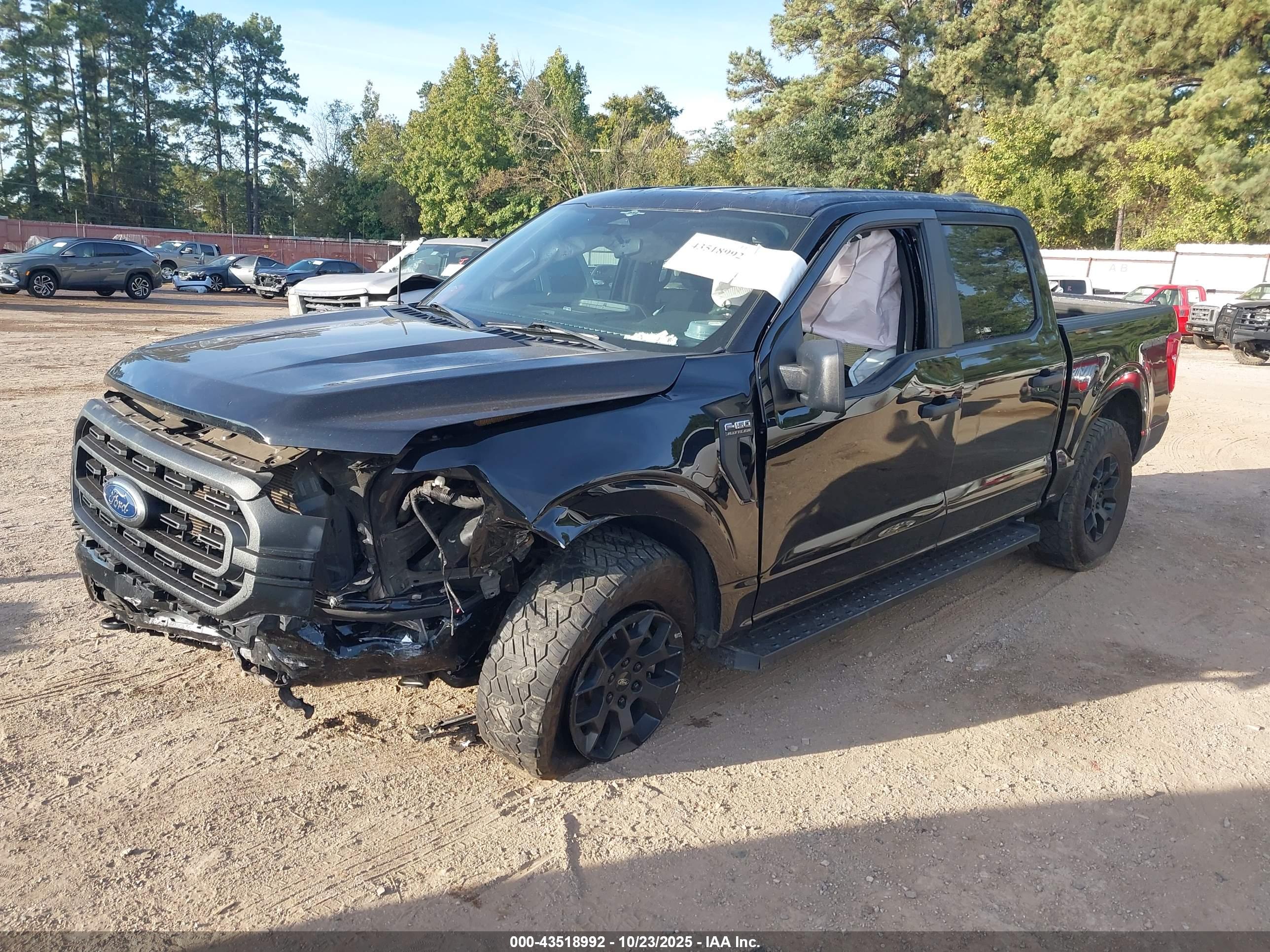 FORD F-150 image 2