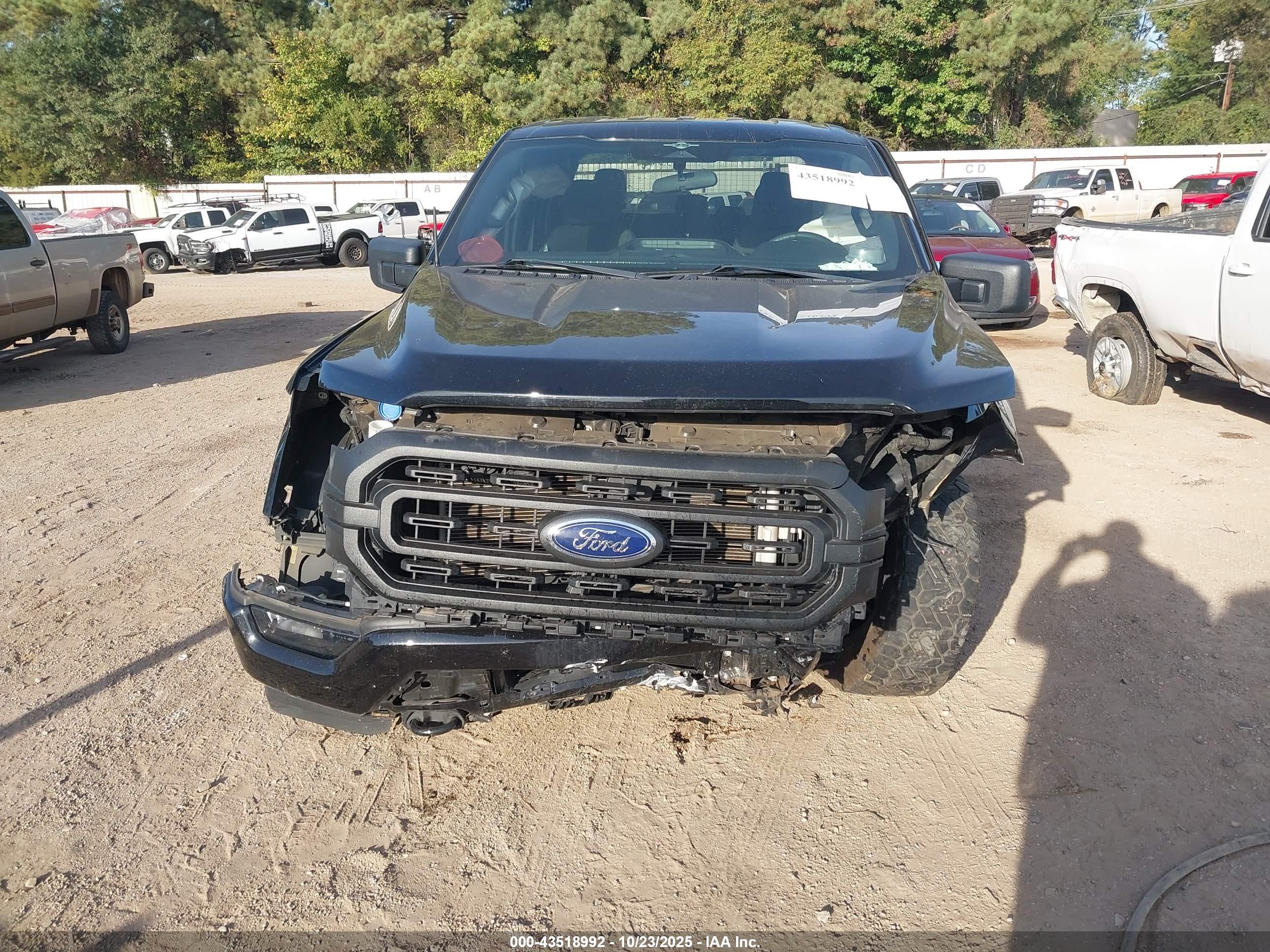 FORD F-150 image 6