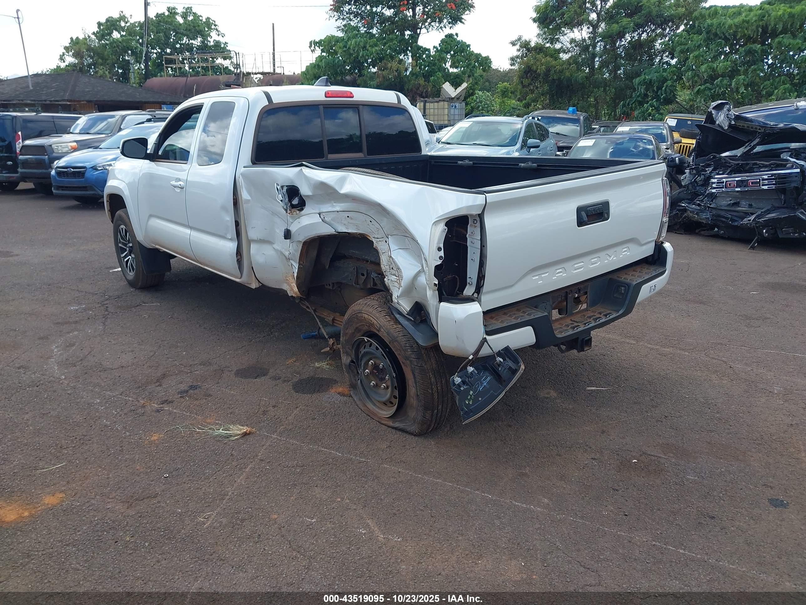 TOYOTA TACOMA image 3
