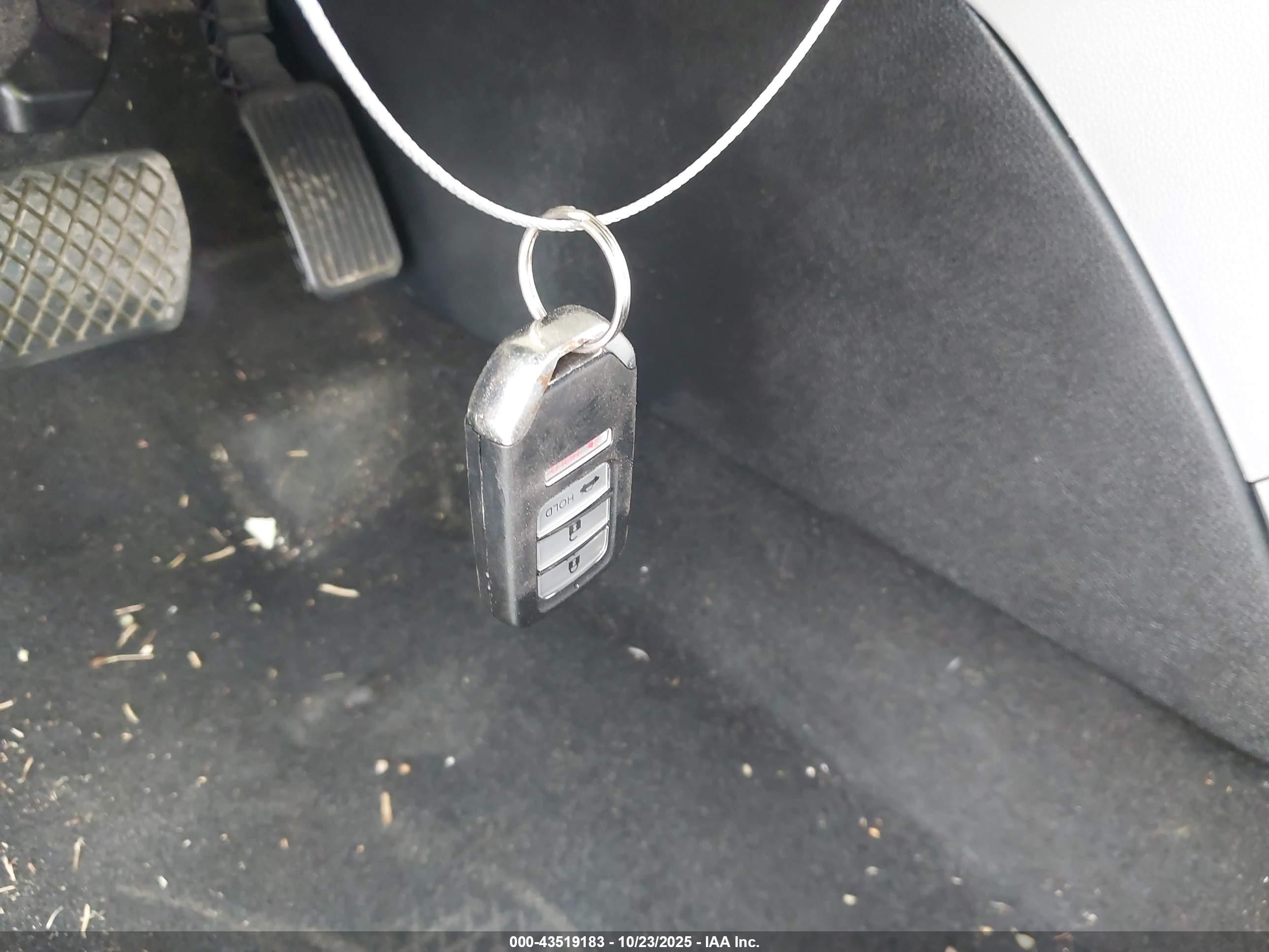 HONDA ACCORD image 11