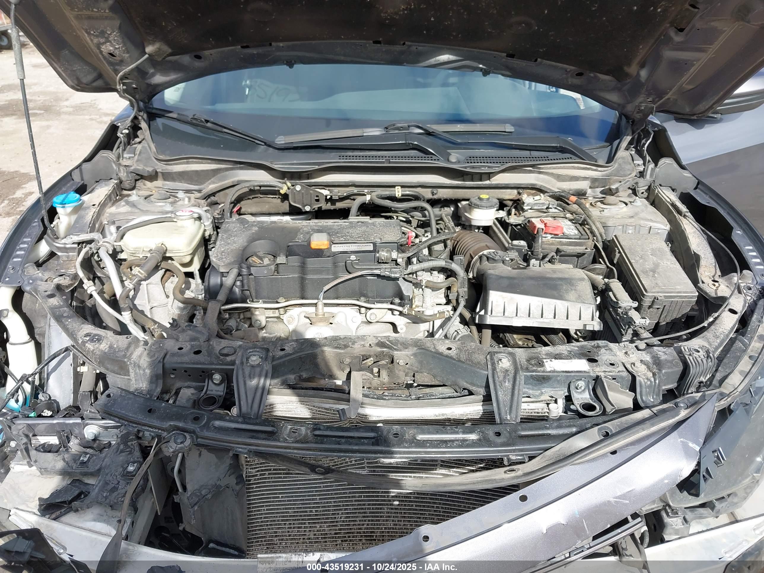 HONDA CIVIC image 10