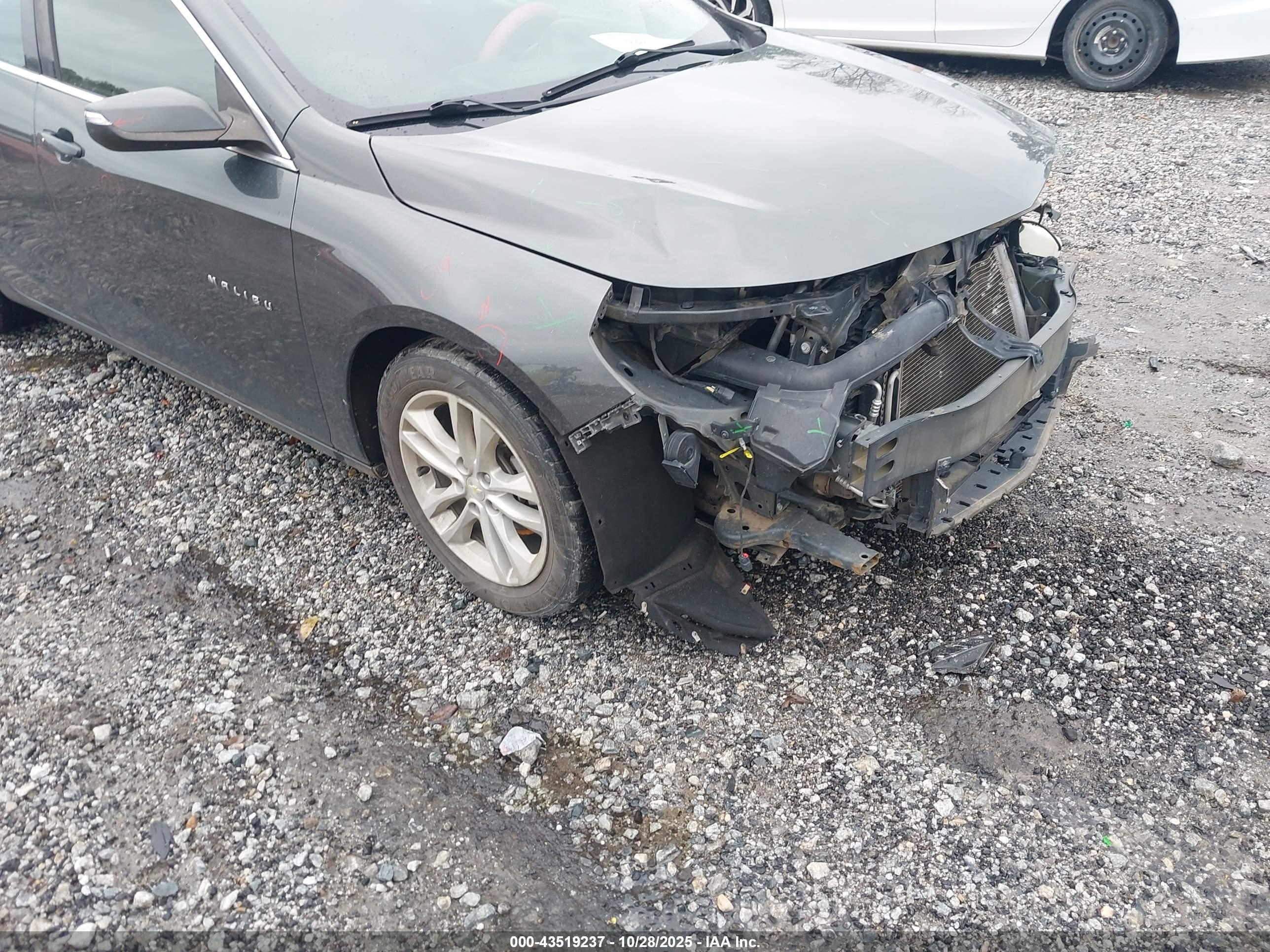 CHEVROLET MALIBU image 6