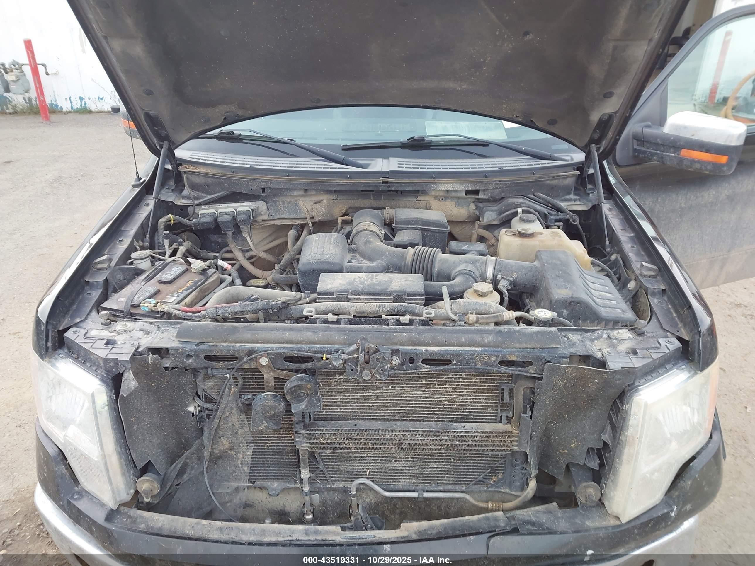FORD F-150 image 10