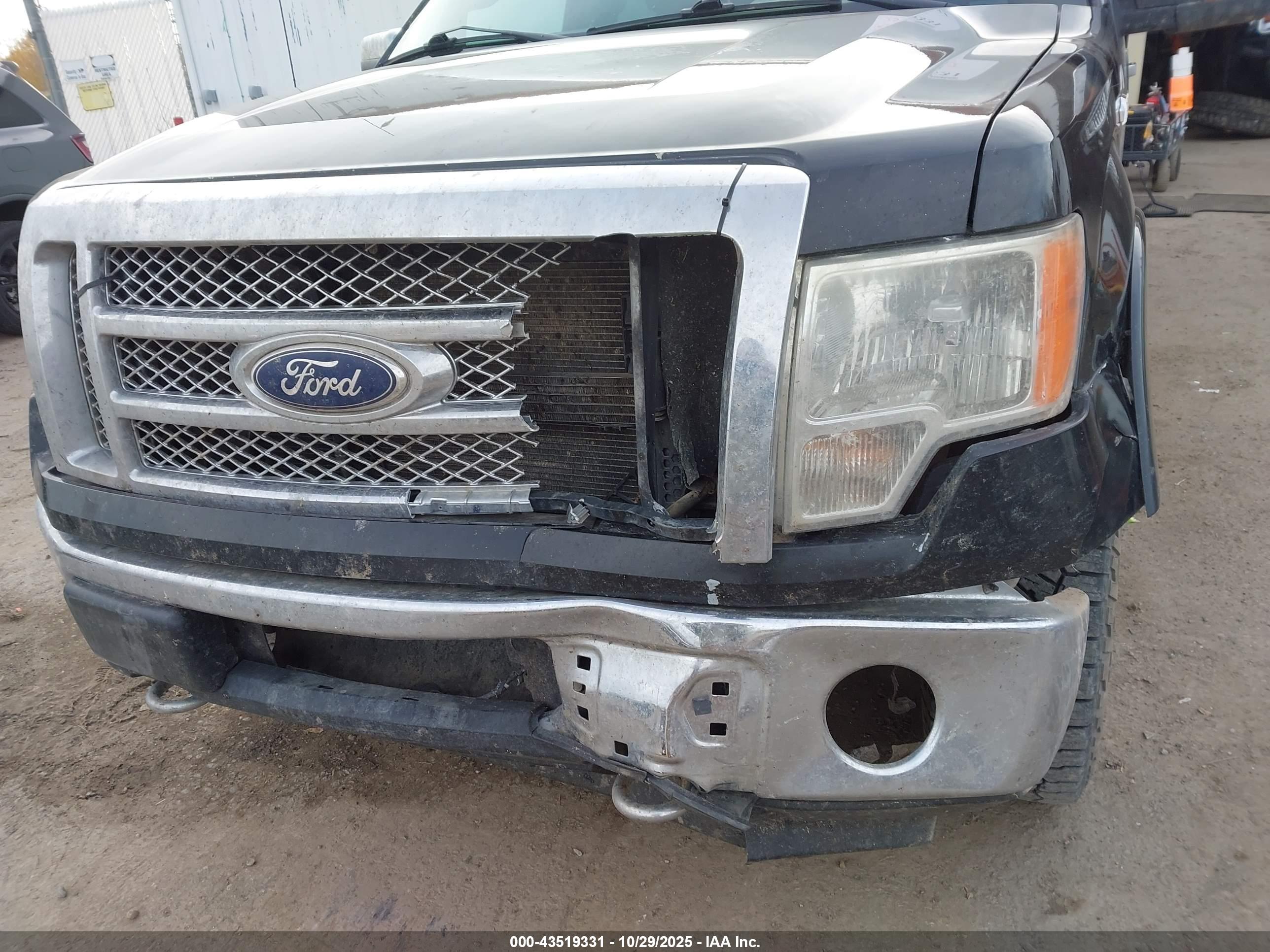 FORD F-150 image 6