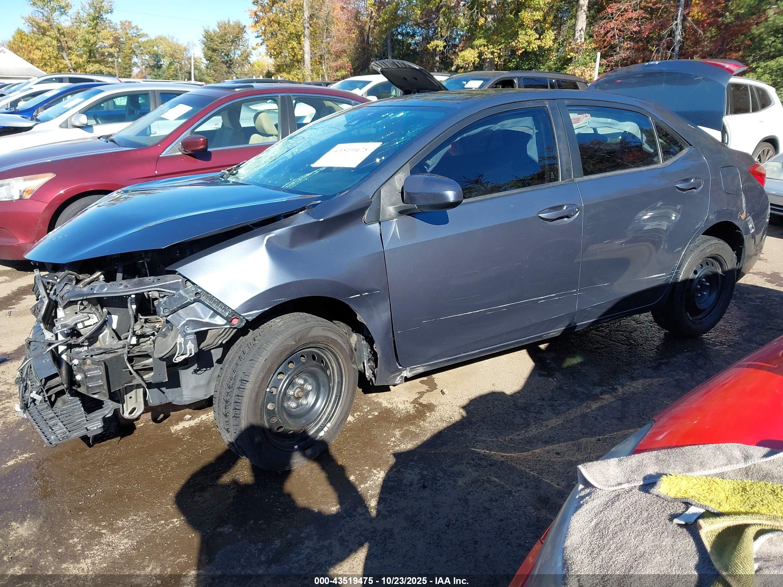 TOYOTA COROLLA image 2