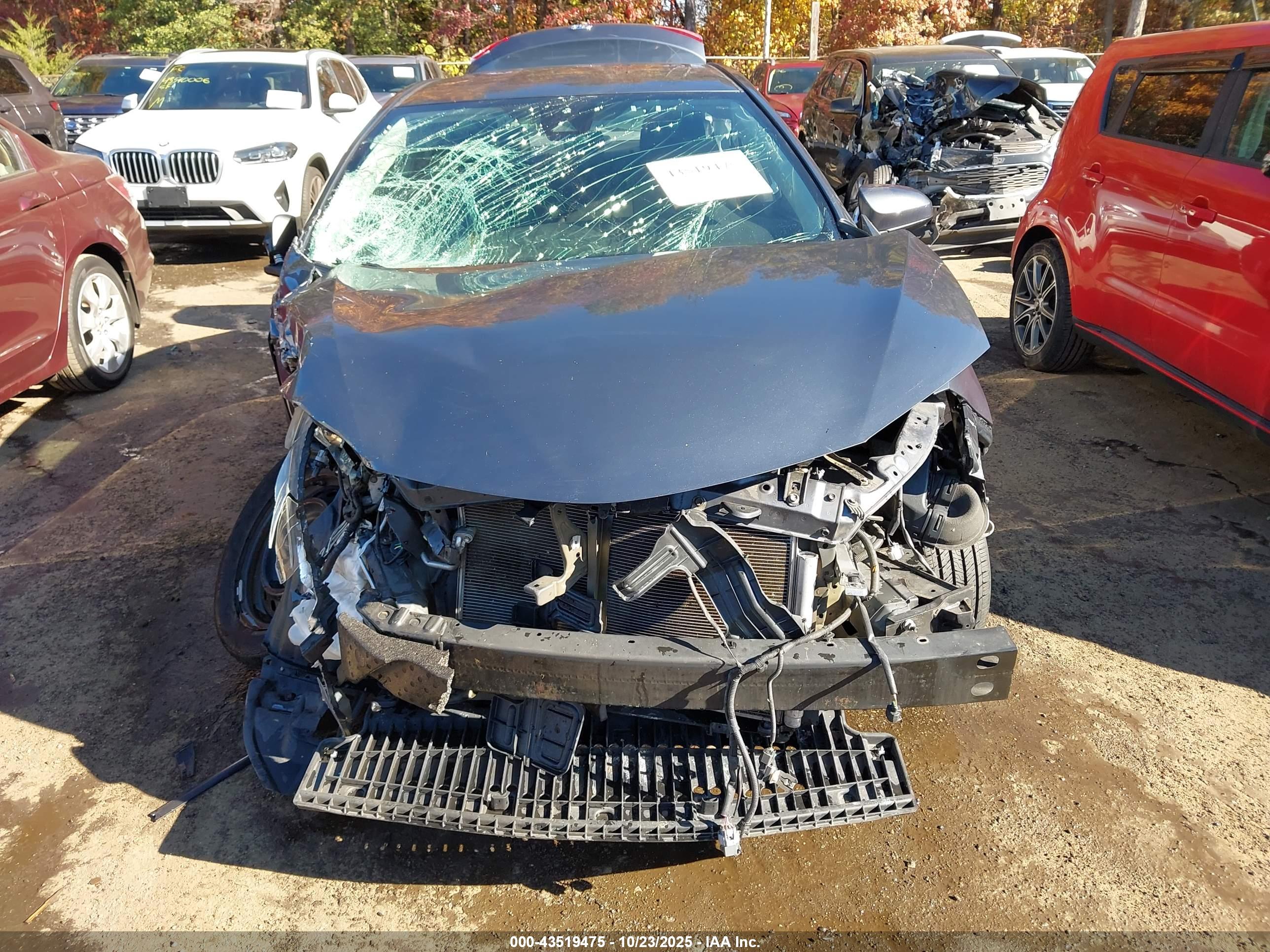 TOYOTA COROLLA image 6