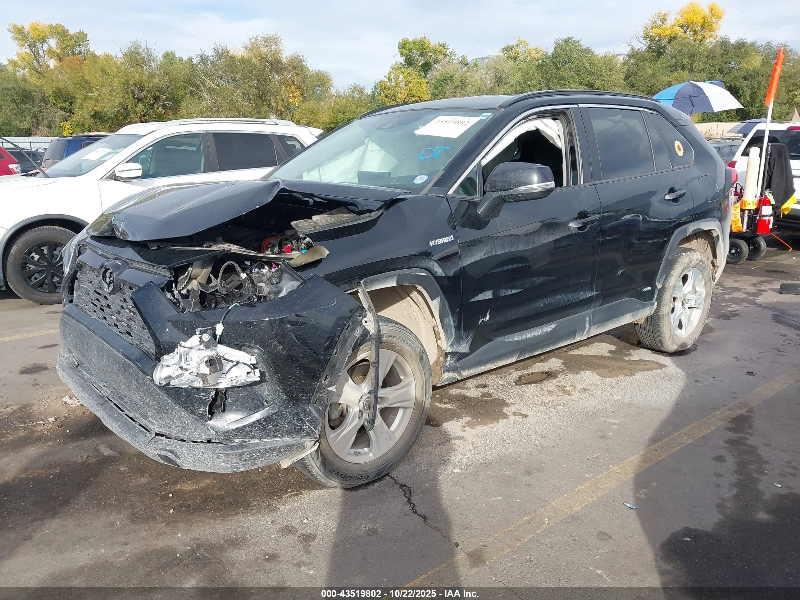 TOYOTA RAV4 image 2