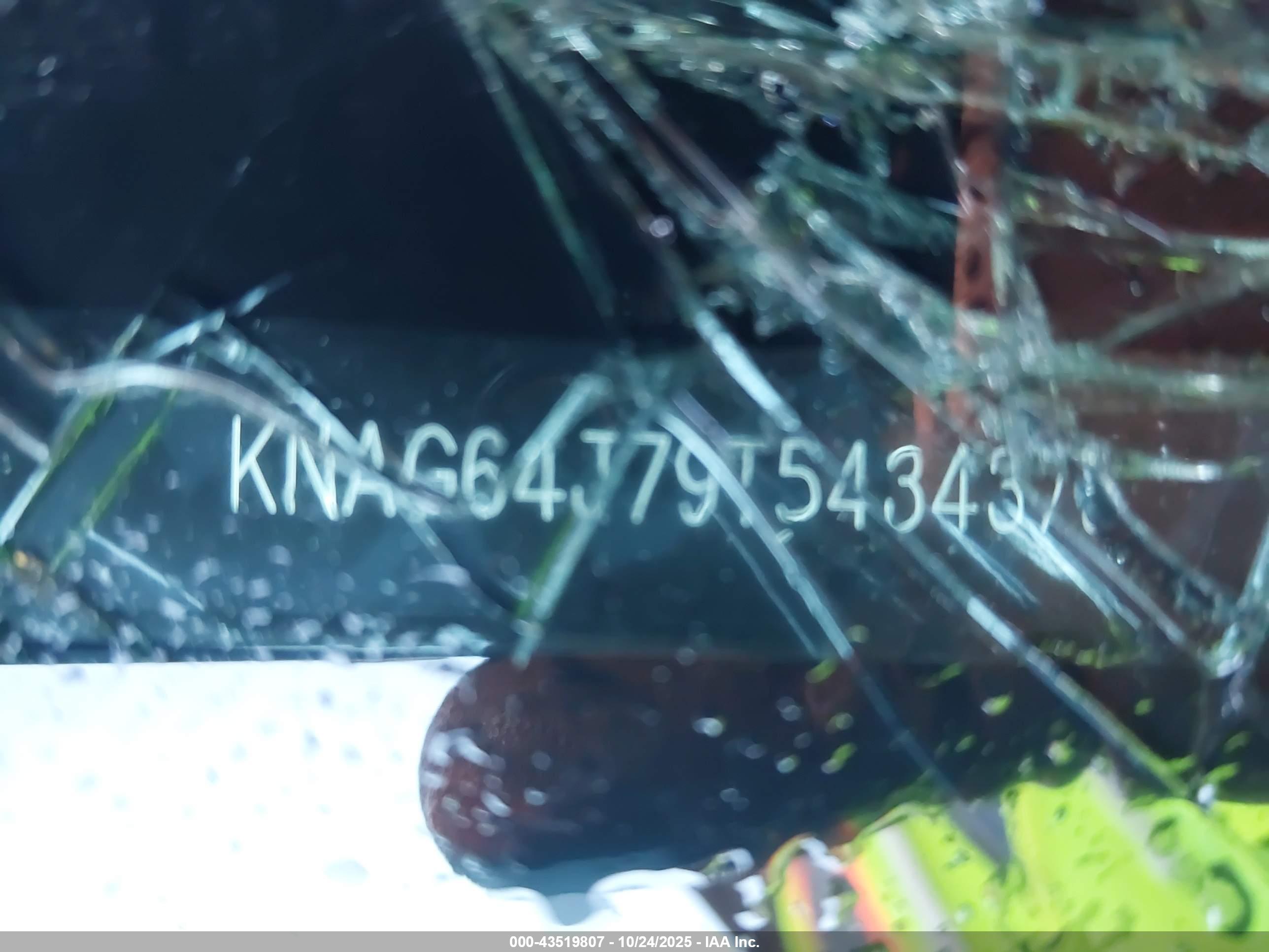 KIA K5 image 9