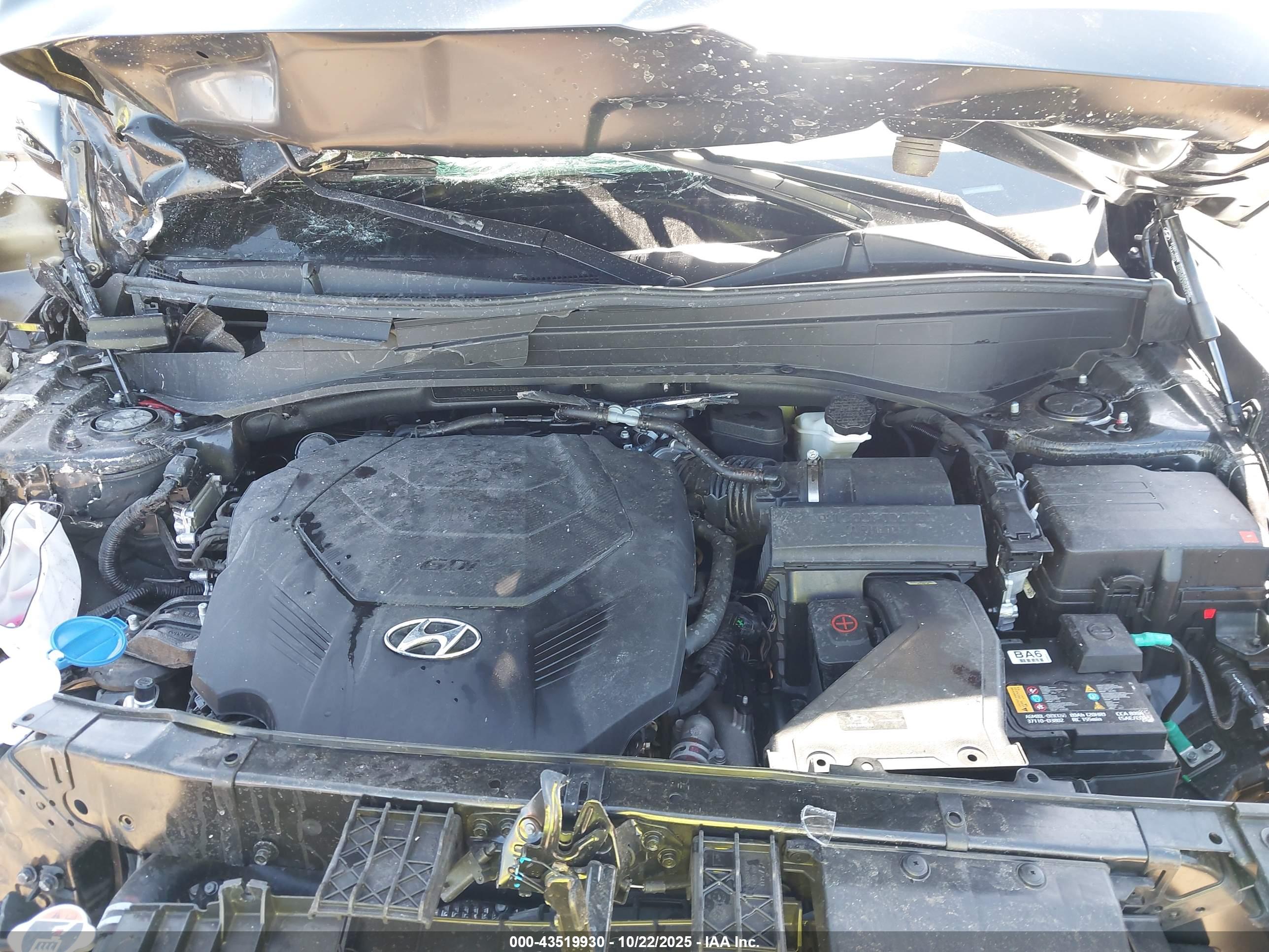 HYUNDAI PALISADE image 10