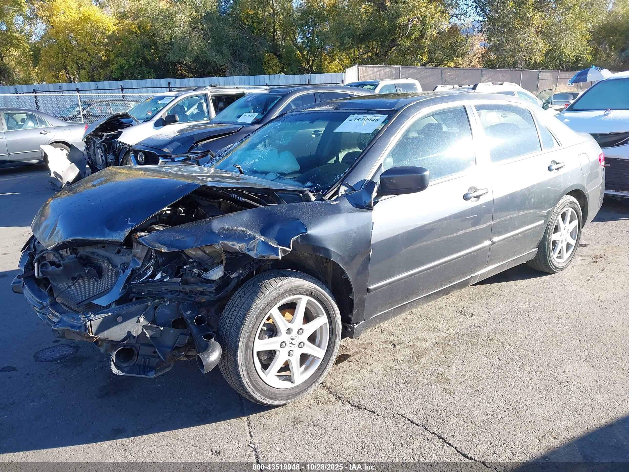 HONDA ACCORD image 2